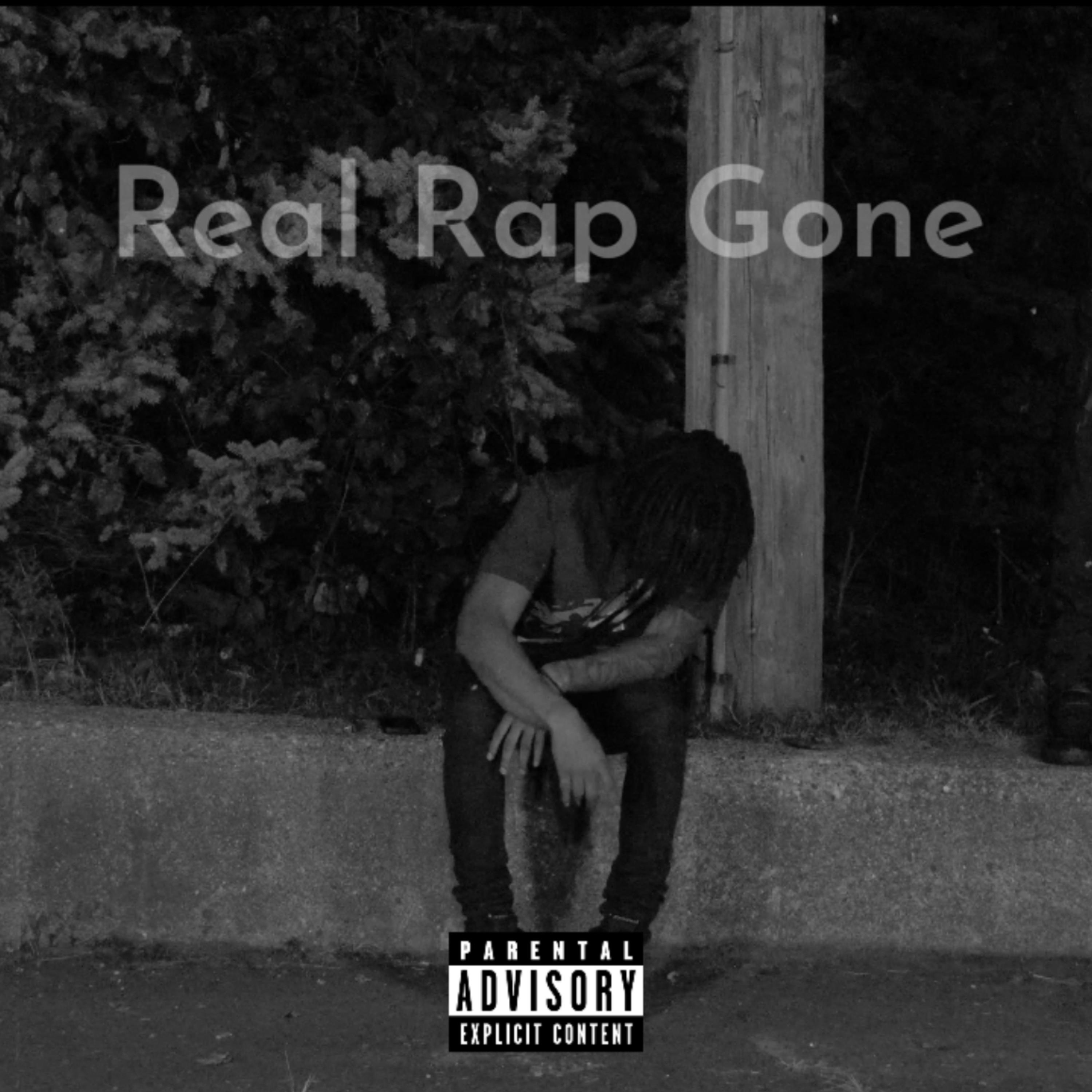 Real Rap Gone by DMQ cover art