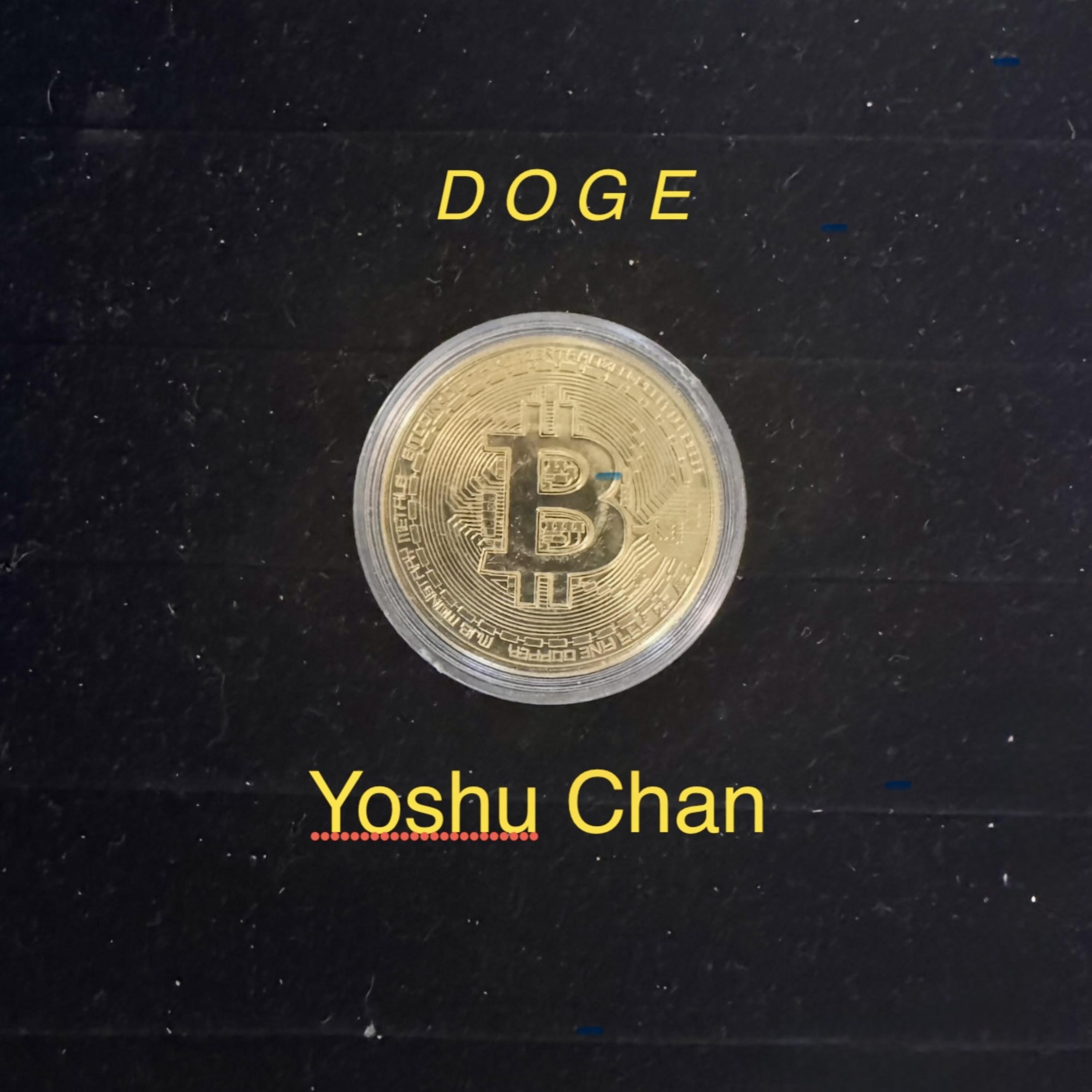 D O G E artwork