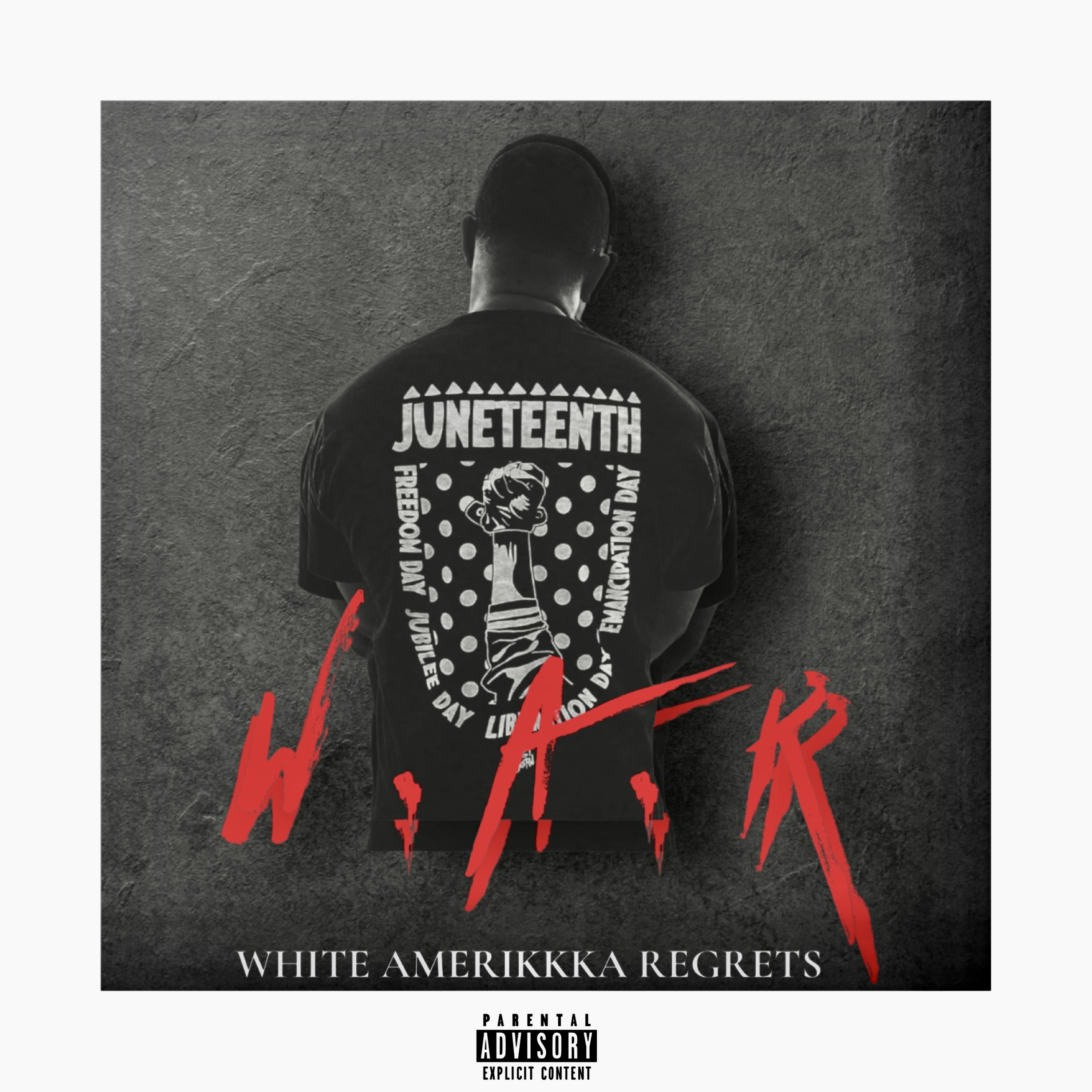 W.A.R (White Amerikkka Regrets) artwork