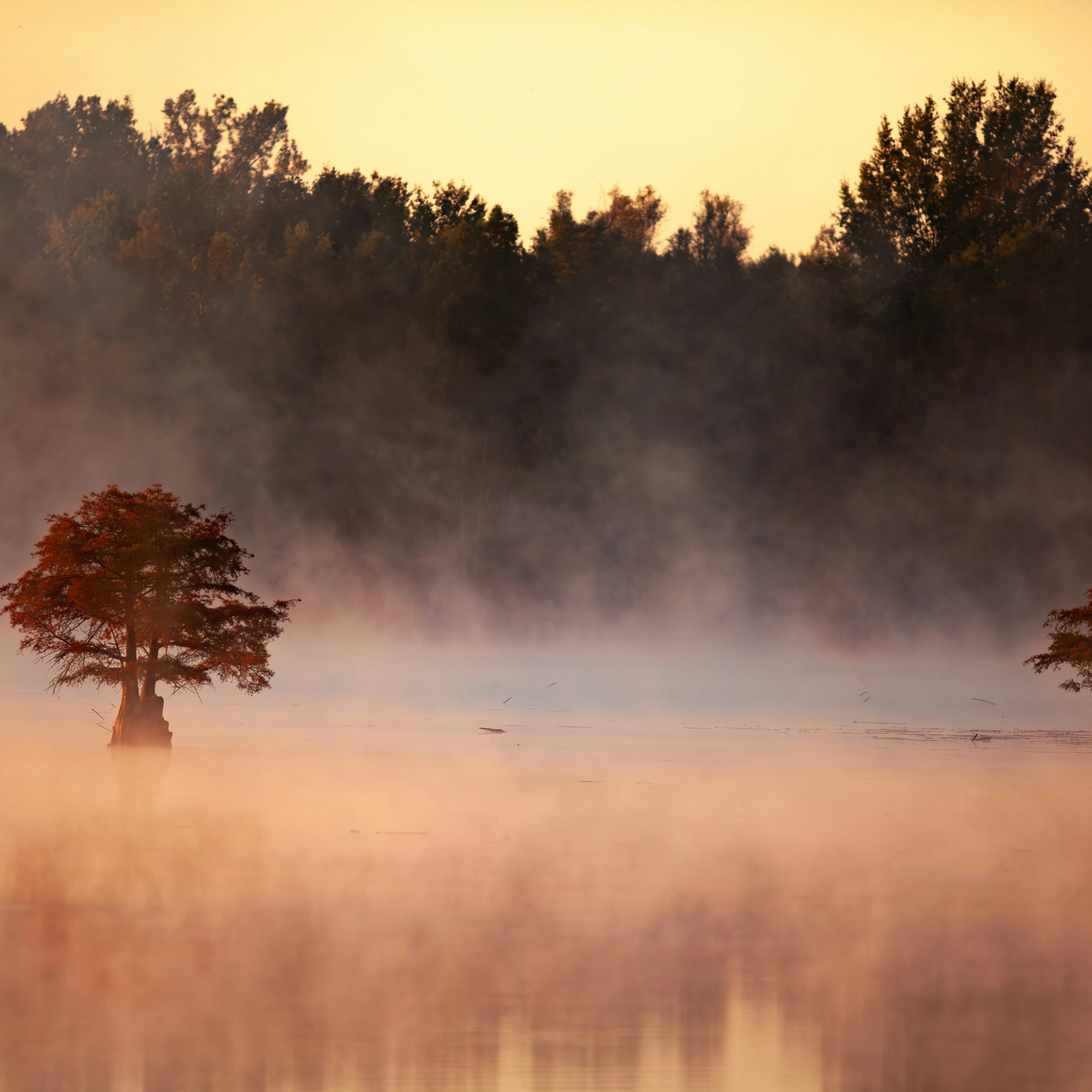 Silent Gravity artwork