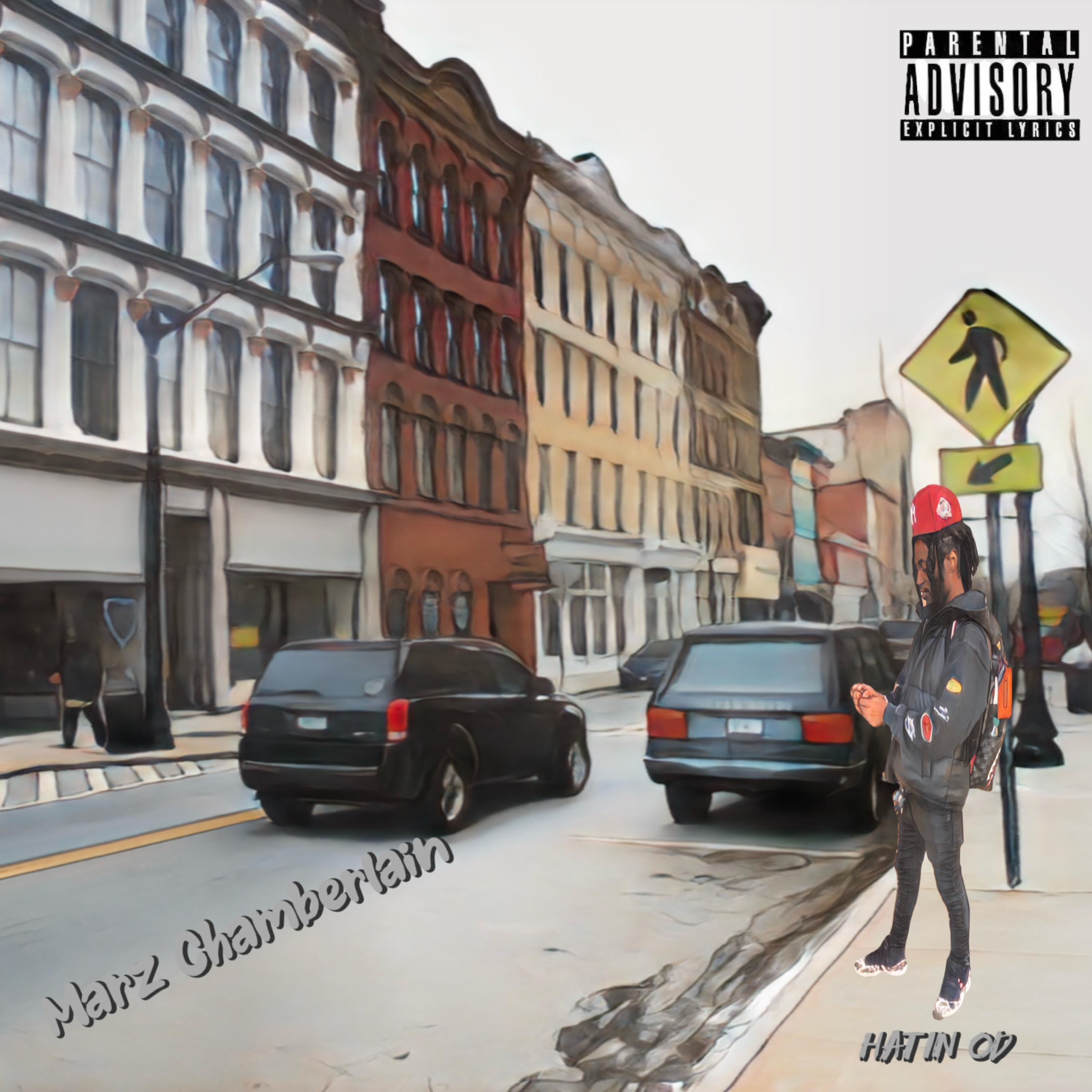 Hatin OD artwork