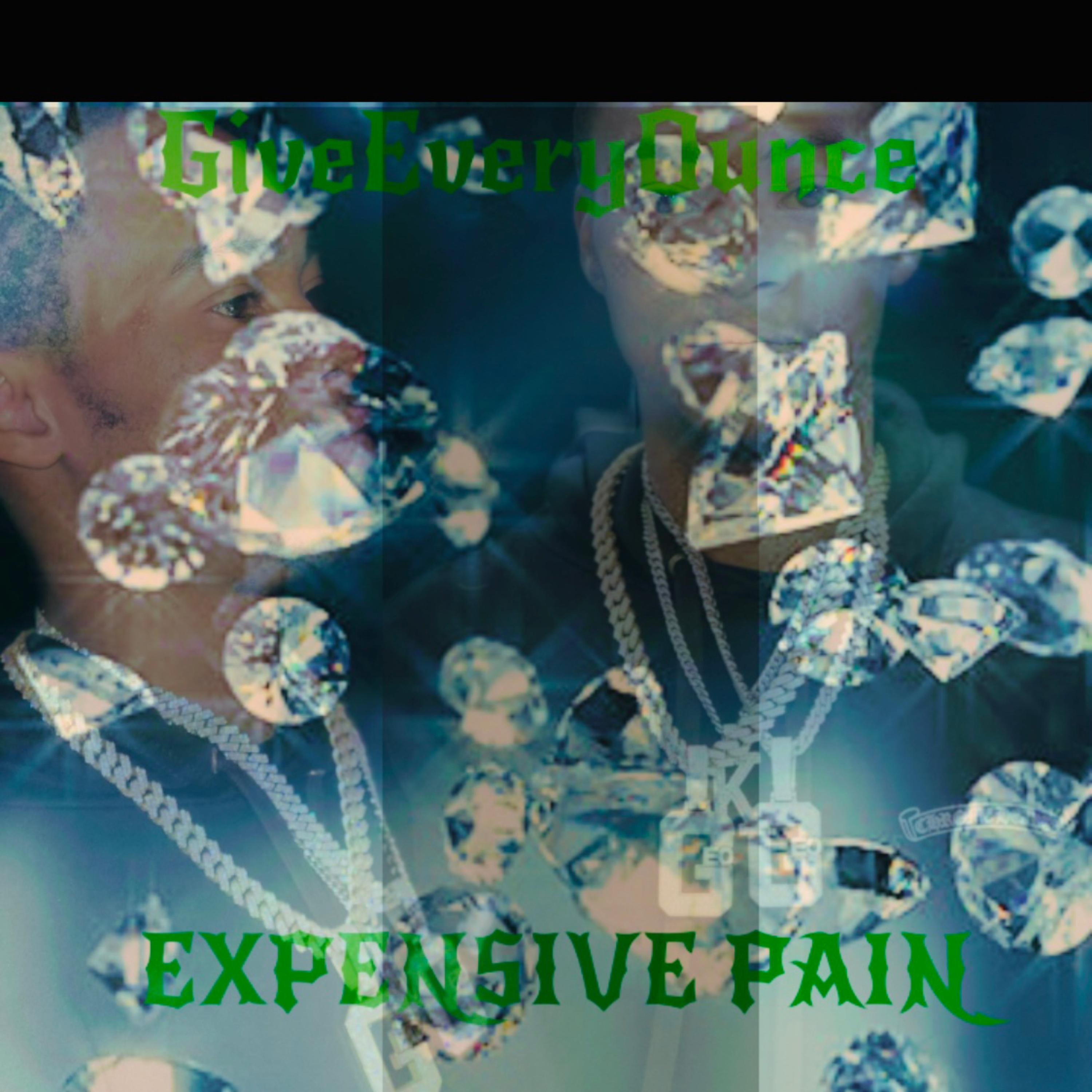 Expensive Pain artwork