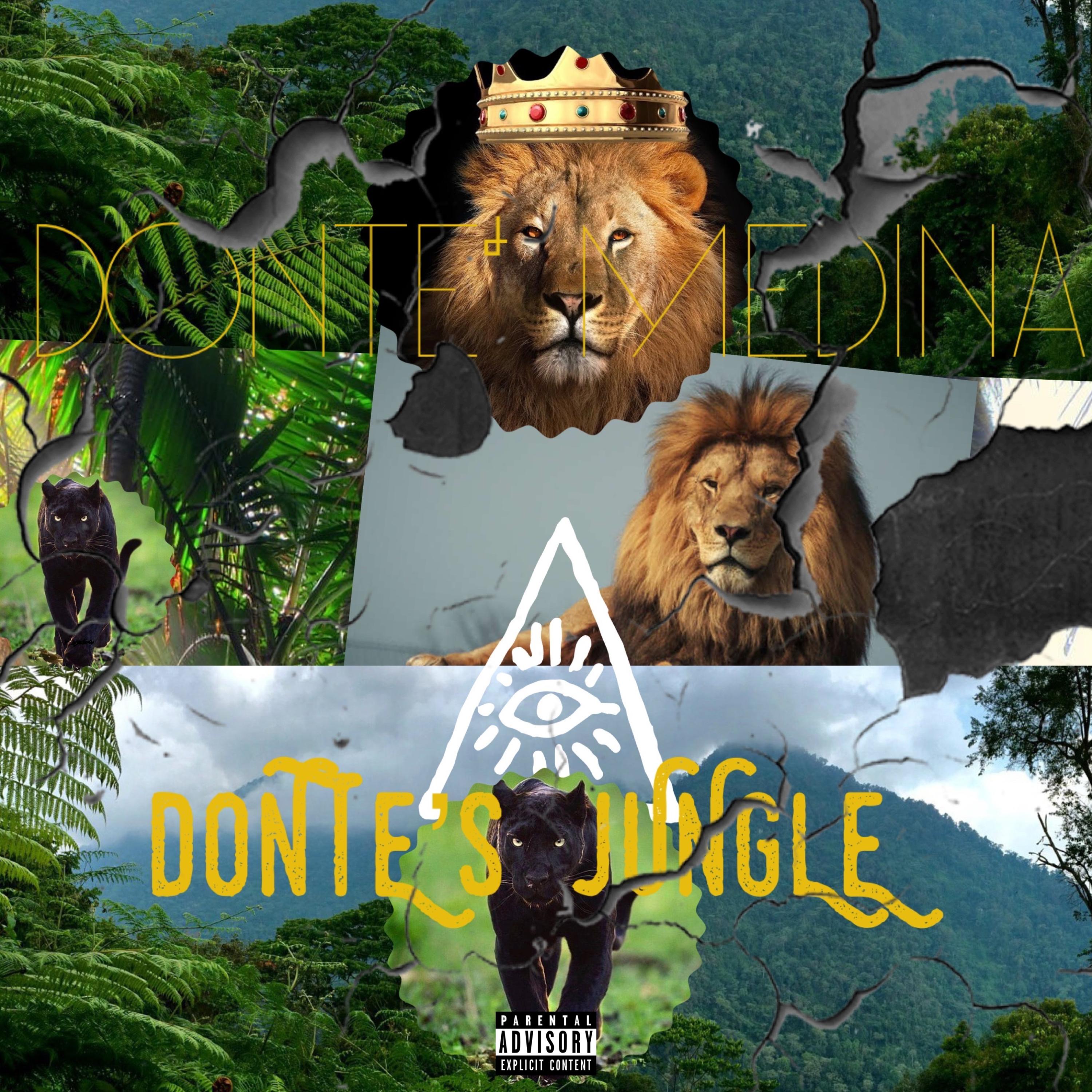 Donte's Jungle artwork