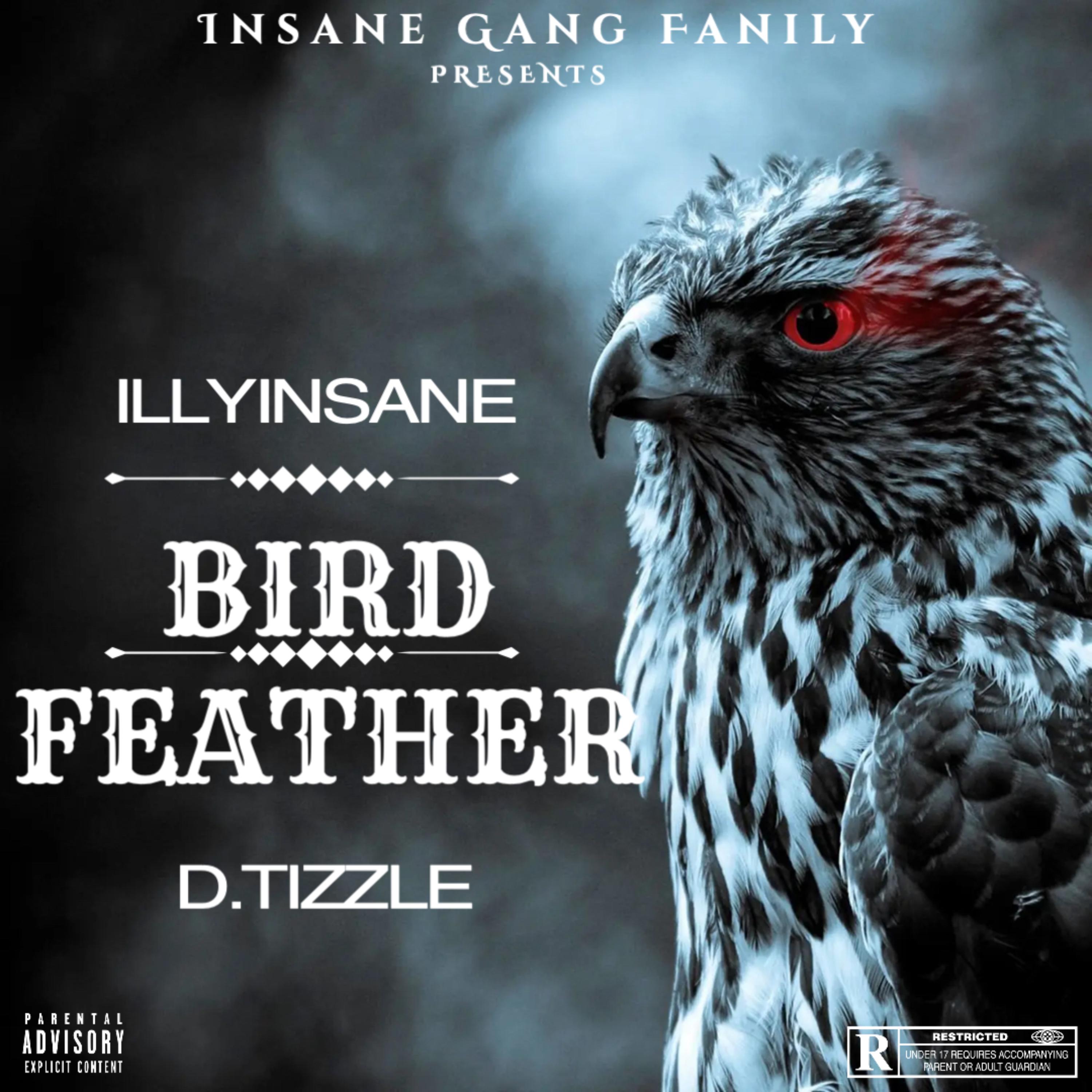Bird Feather artwork