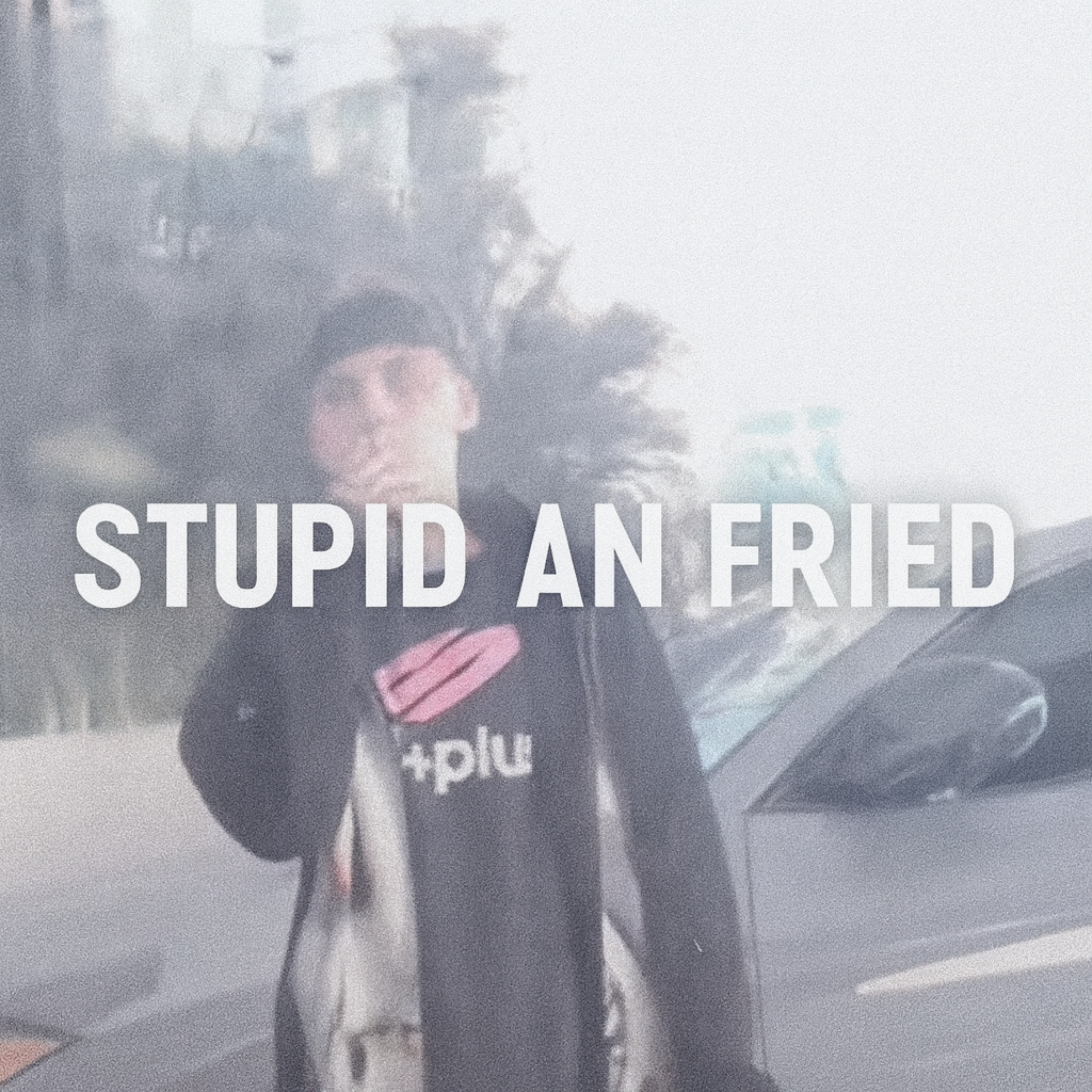 stupid an fried artwork