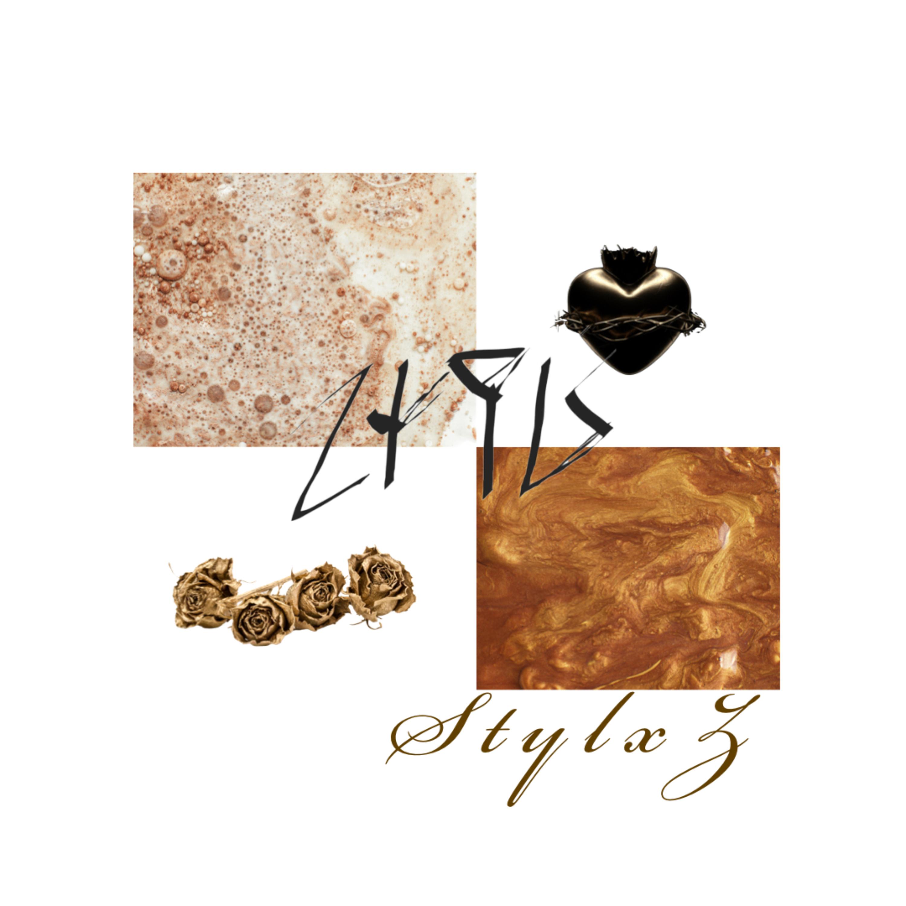 STYLxZ artwork