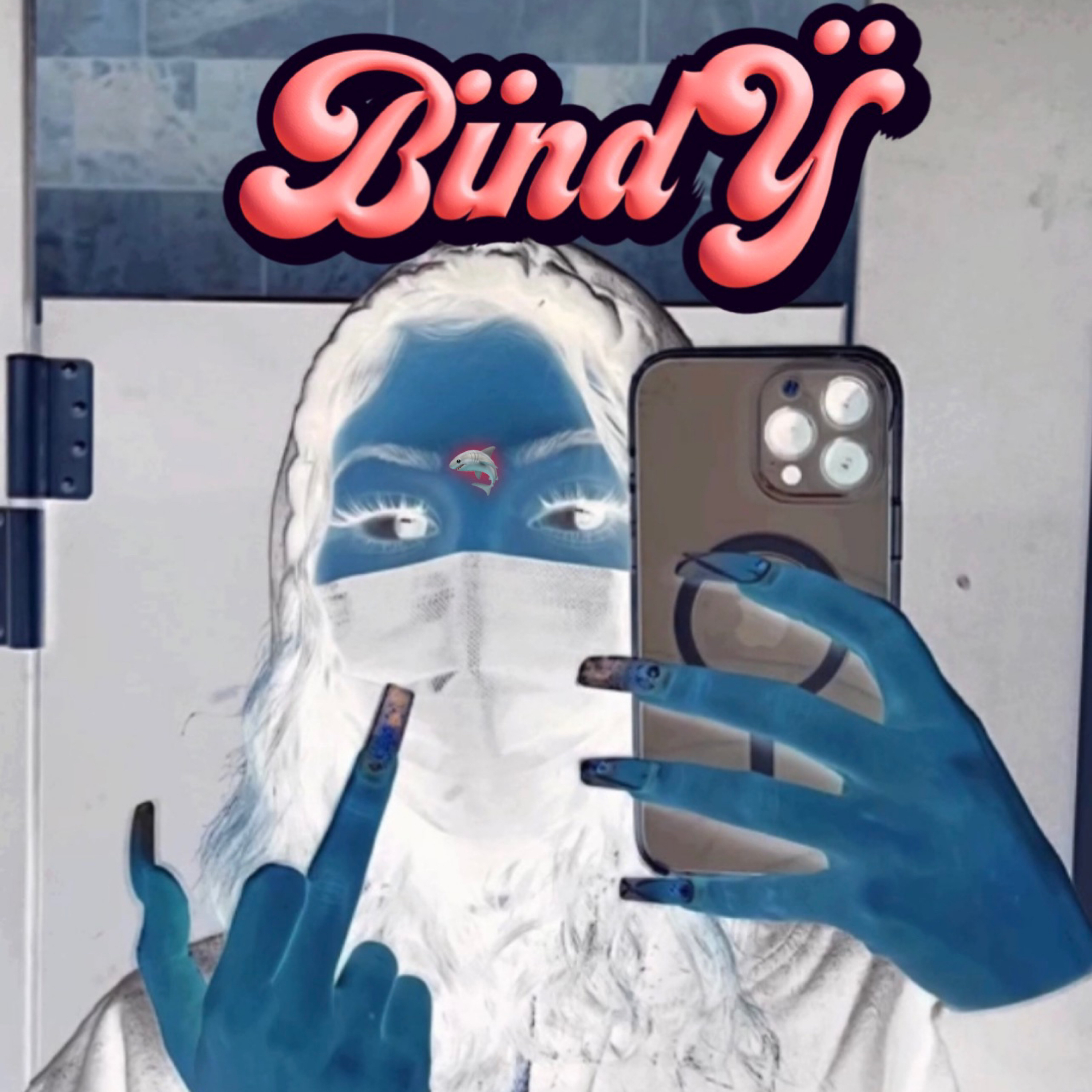 Bïndÿ artwork