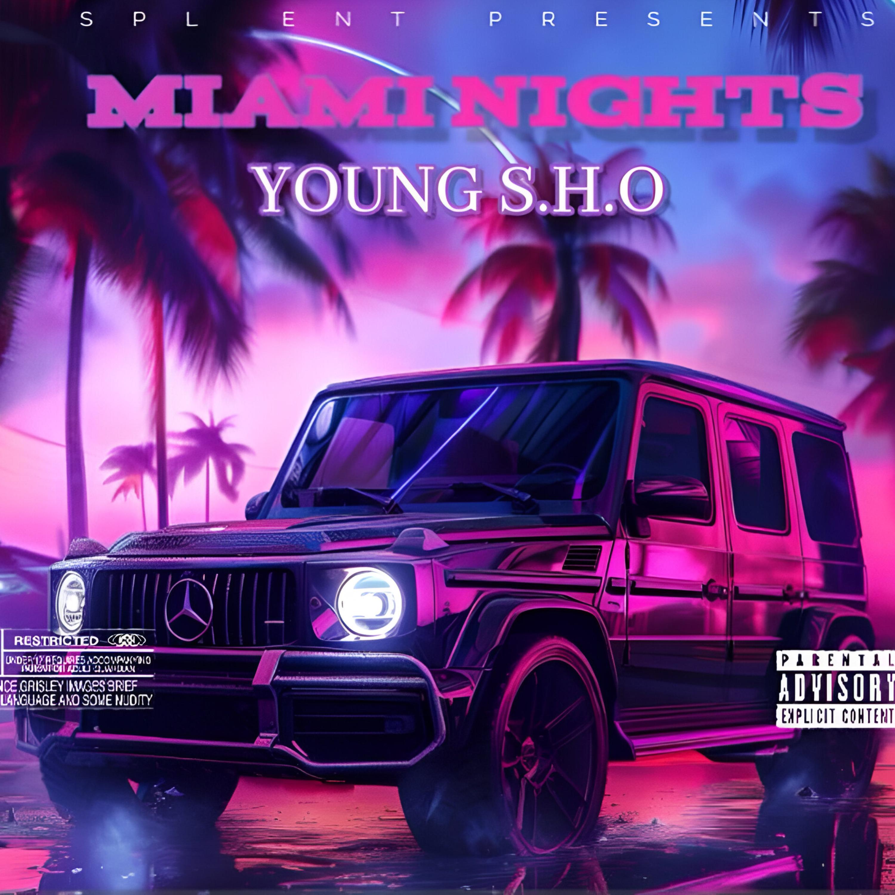 MIAMI NIGHTS artwork