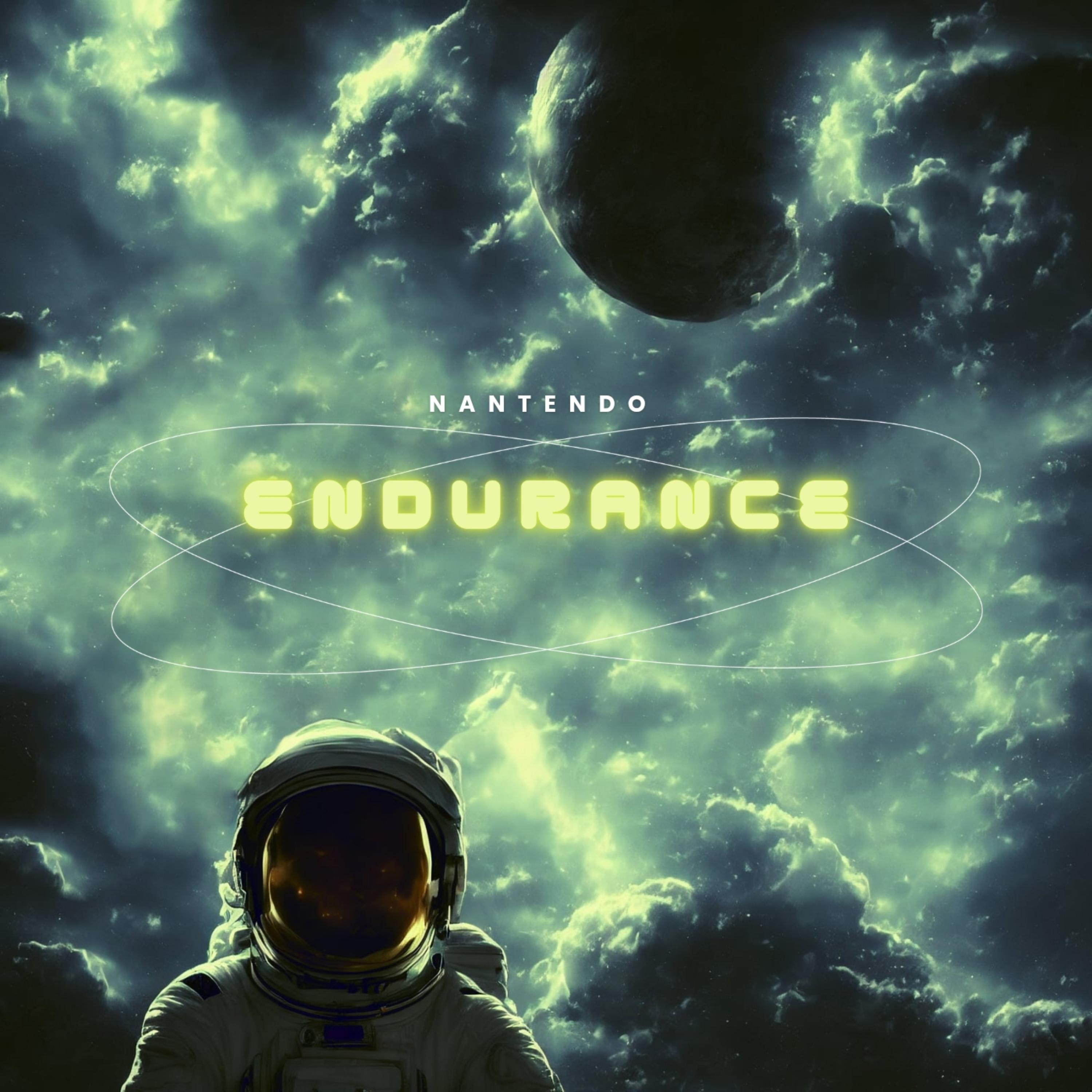 ENDURANCE by Nantendo cover art