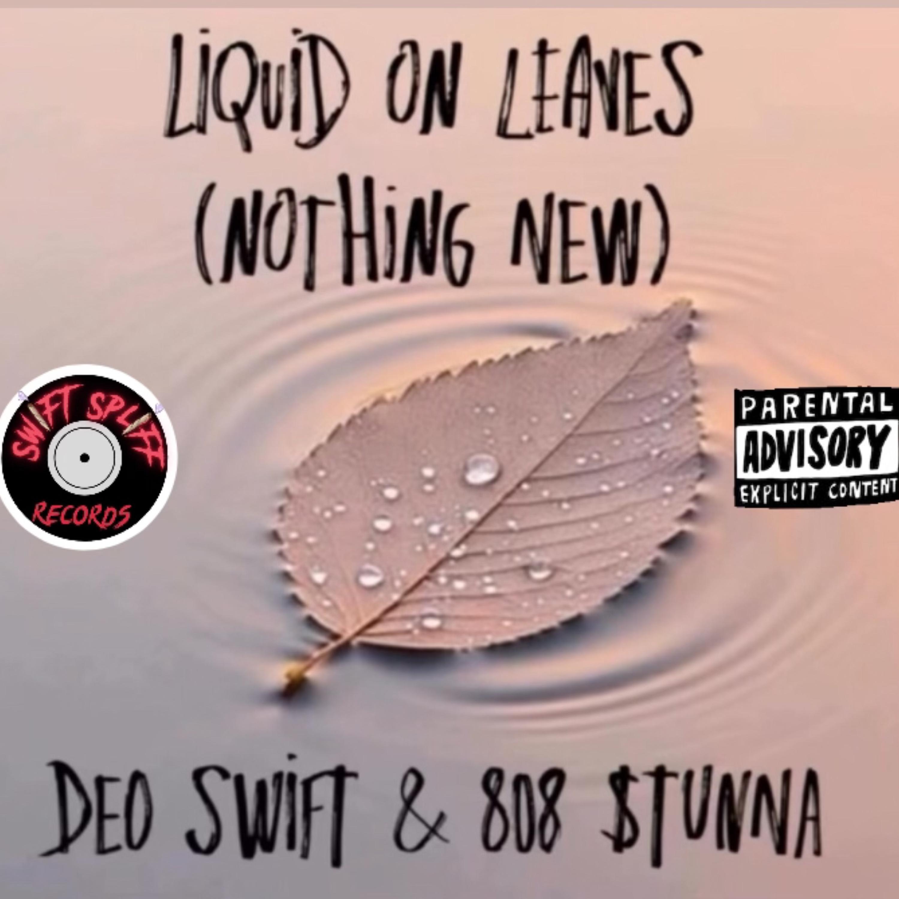 Liquid On Leaves (Nothing New) artwork