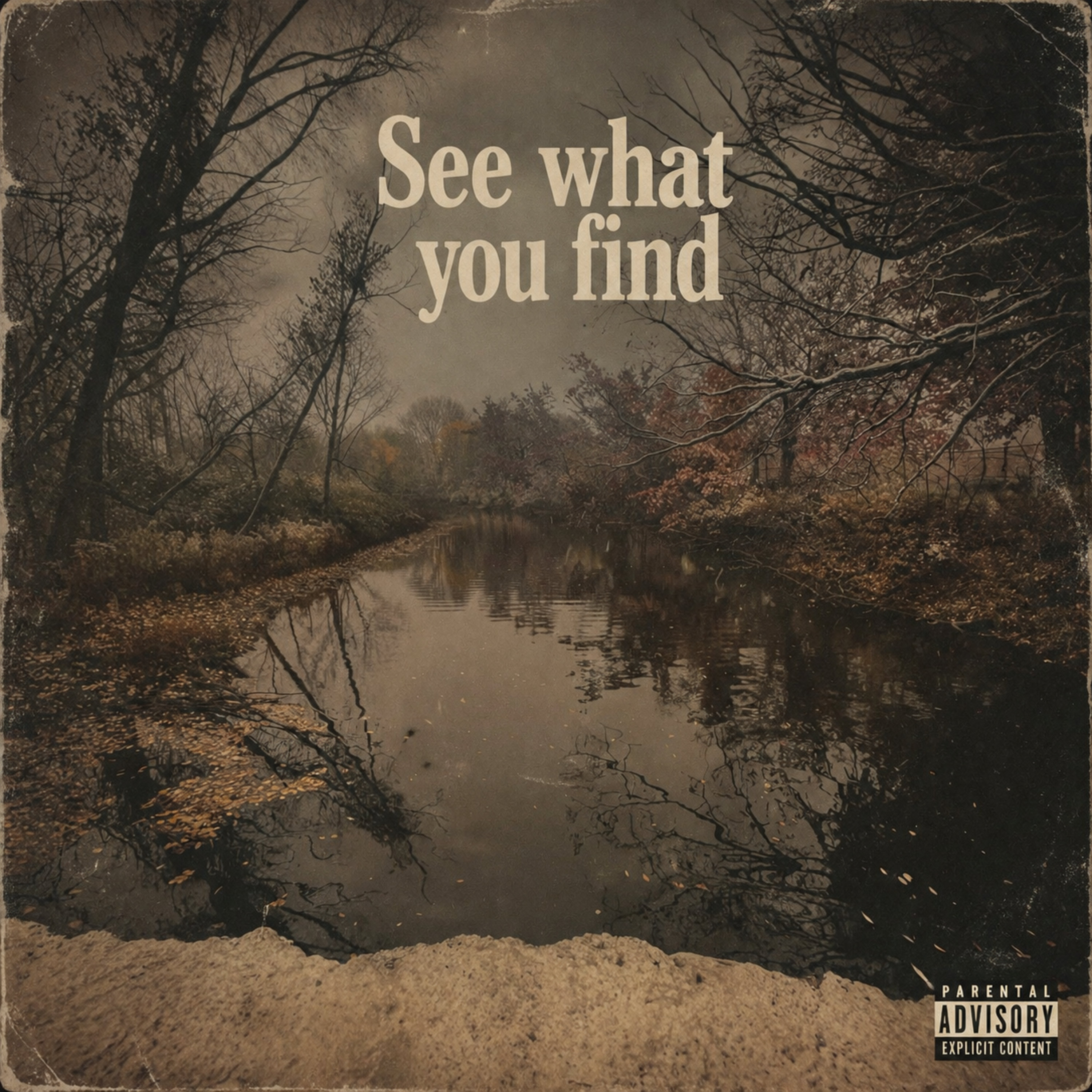 See What You Find by Realdrakk cover art