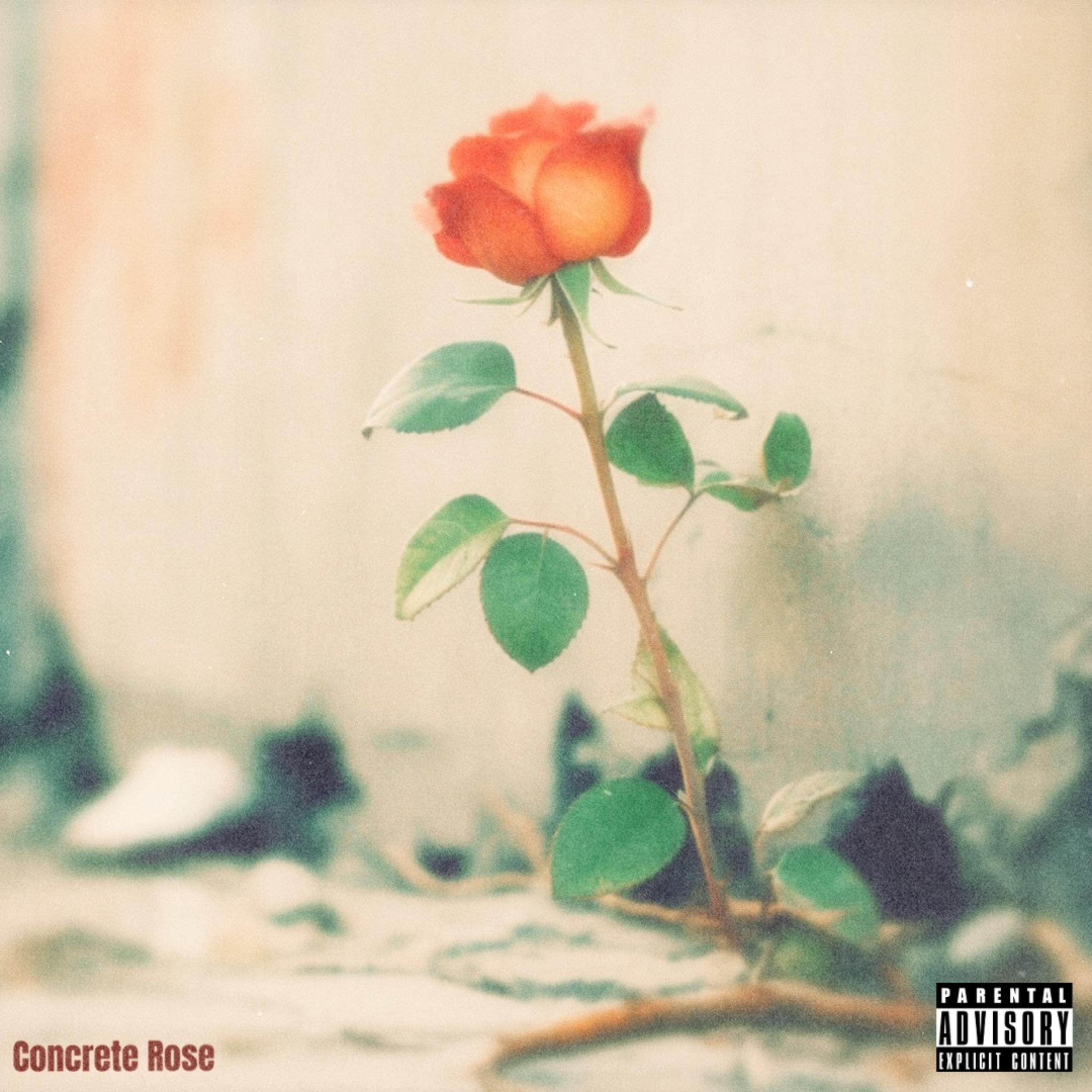 Concrete Rose artwork