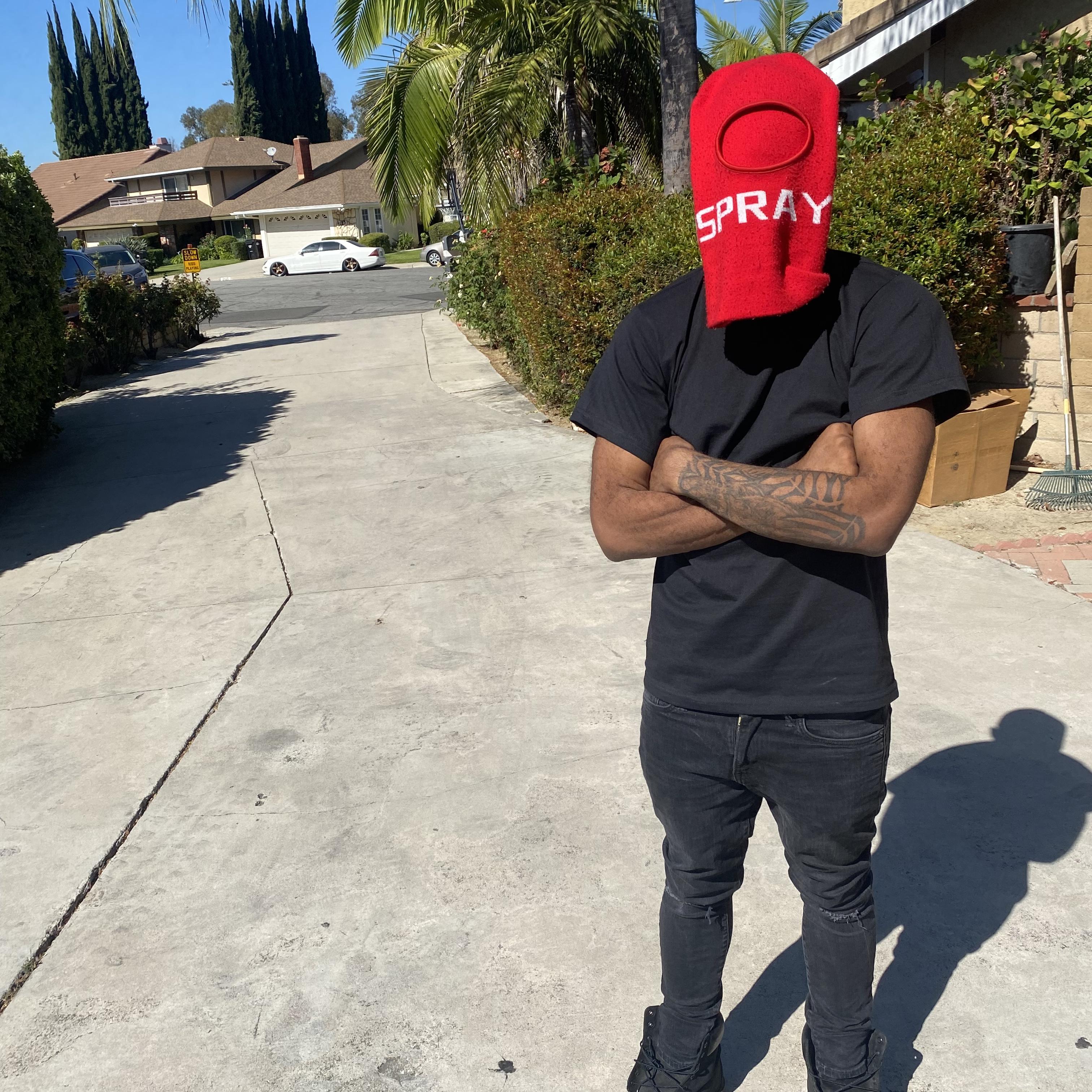 FREESTYLE OF THE CENTURY artwork