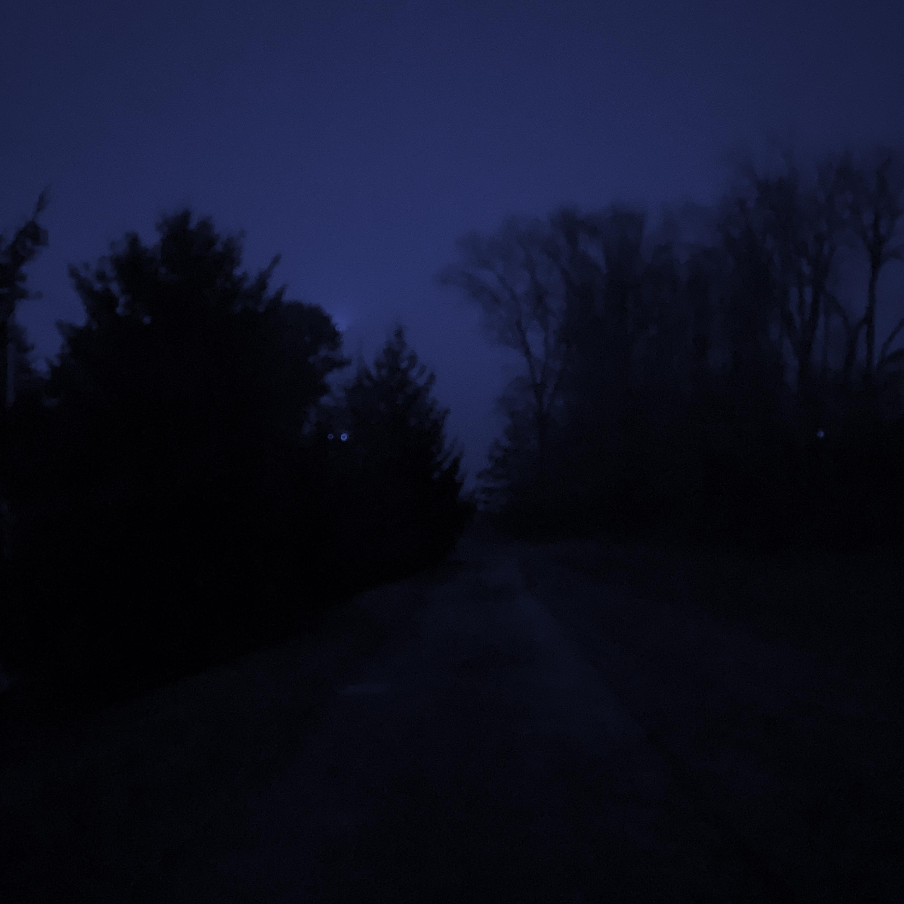 Life is so dull artwork