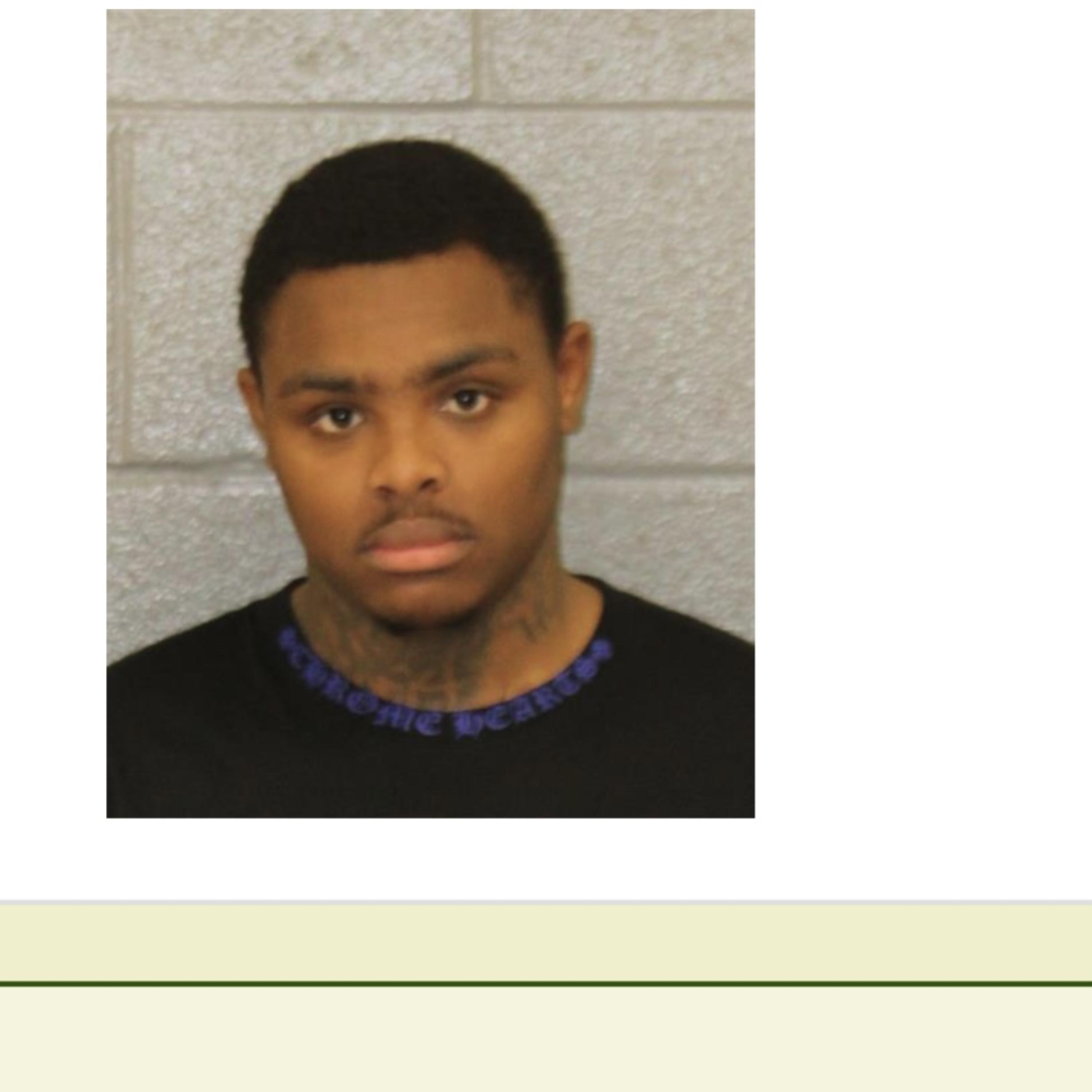 Free GlizzyBoy artwork