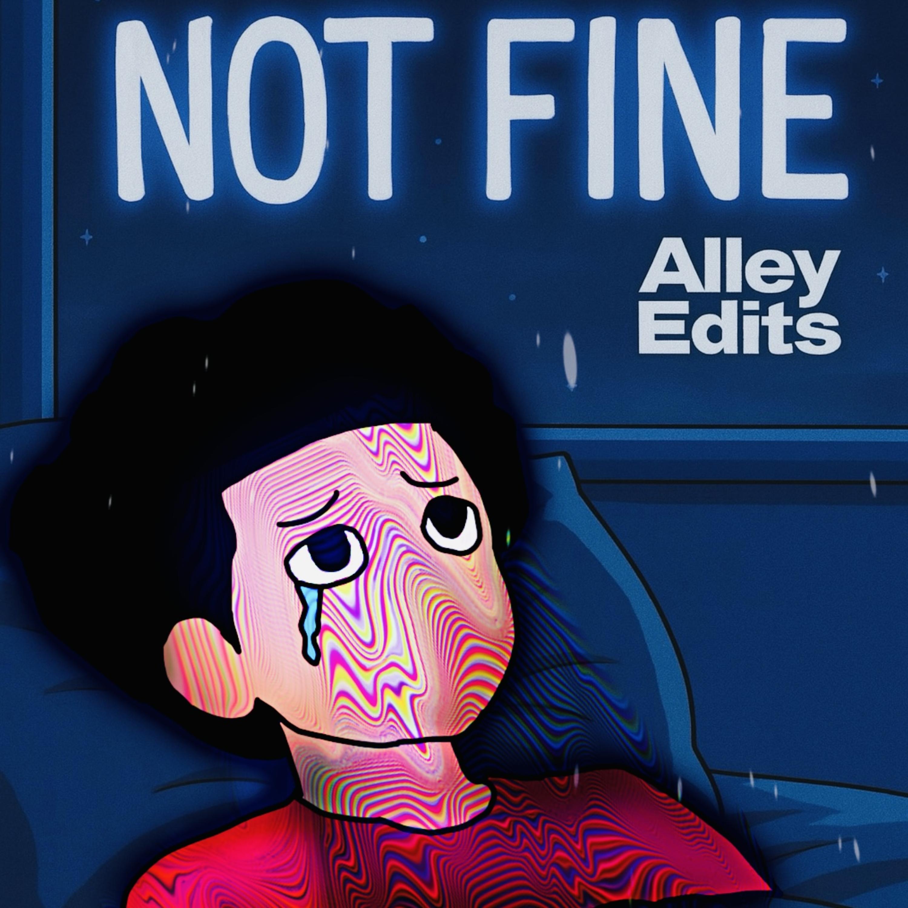 Not Fine artwork