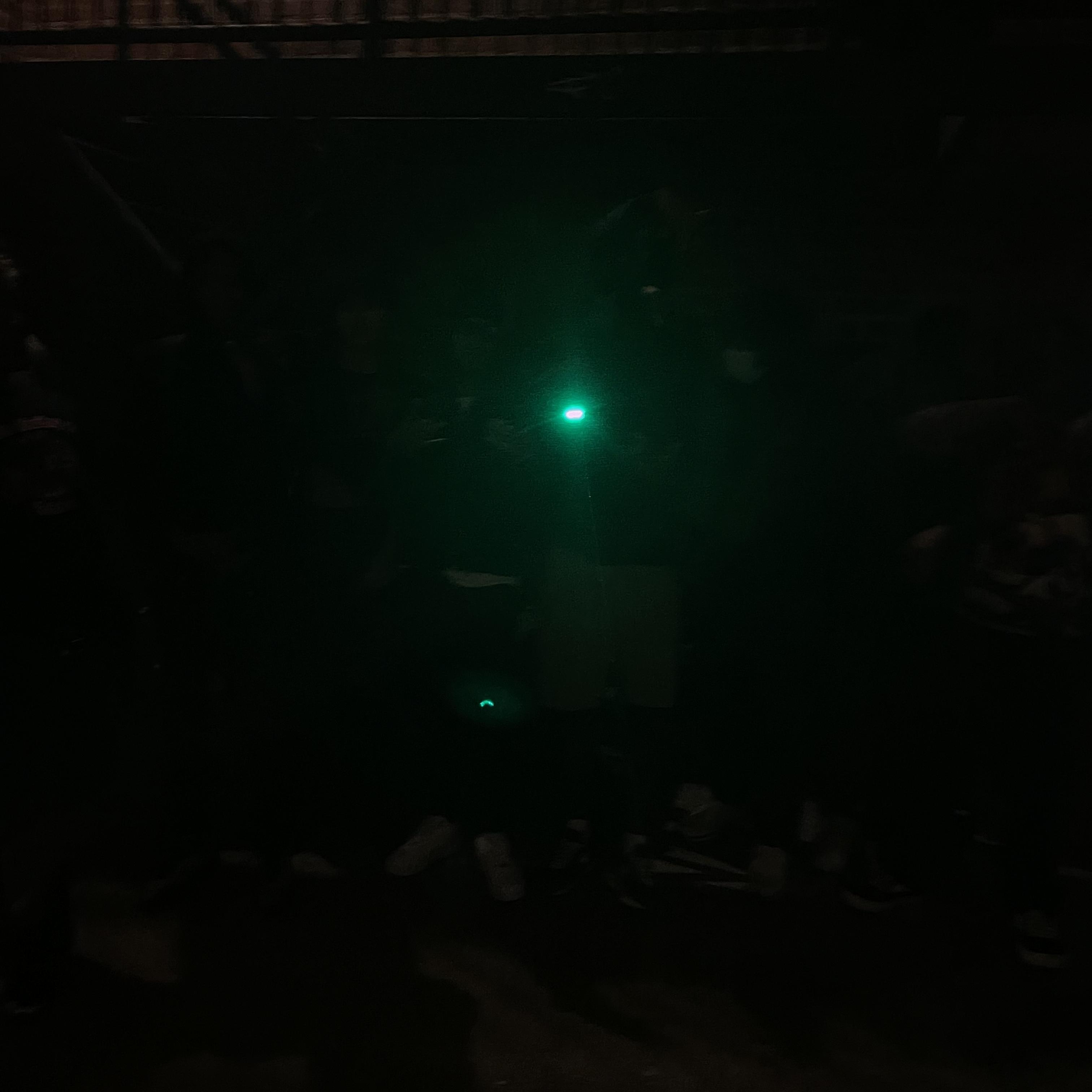 forcefeedyouspiders artwork