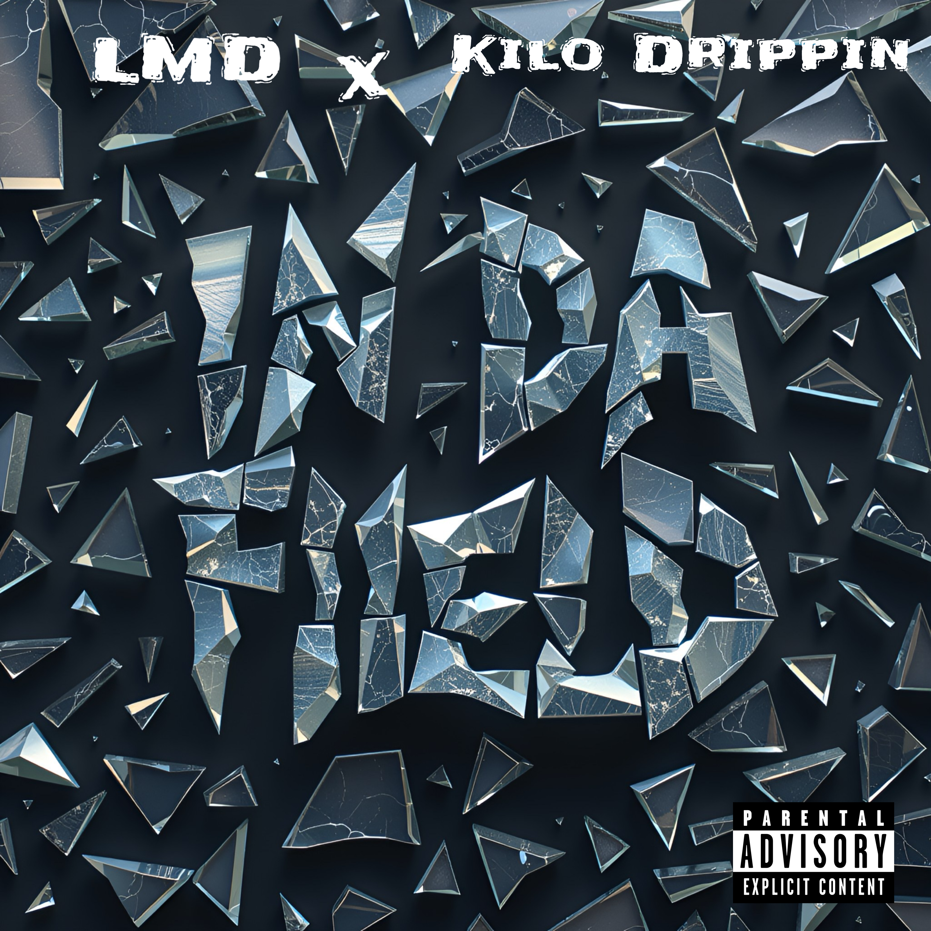 In Da Field artwork