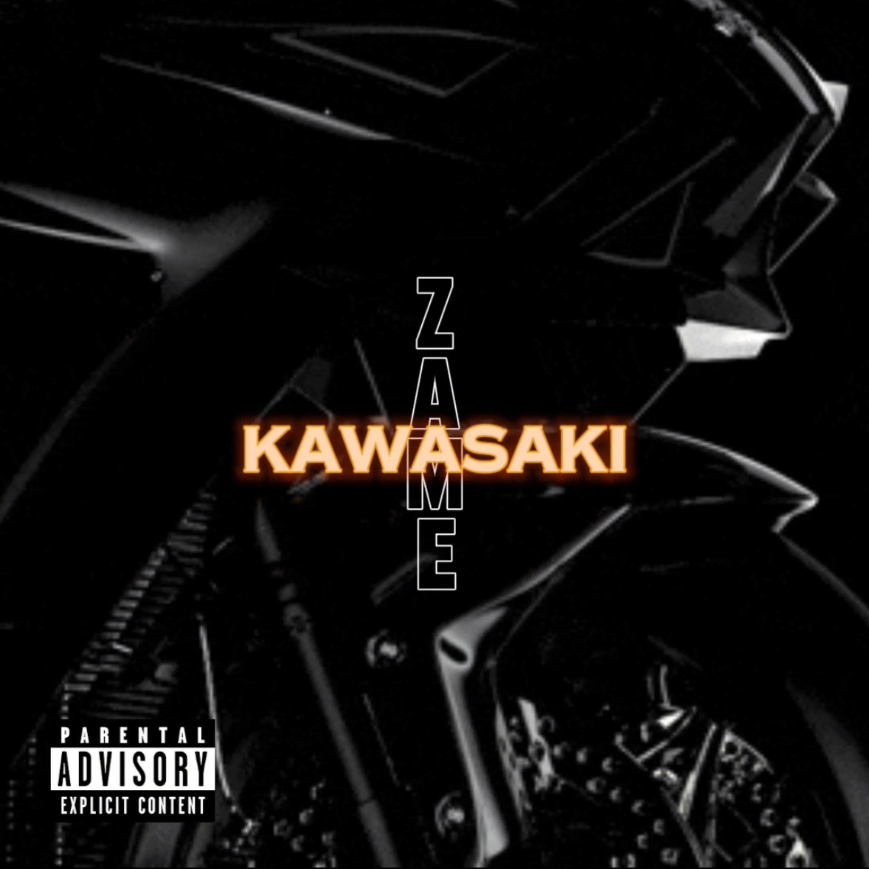 Kawasaki artwork