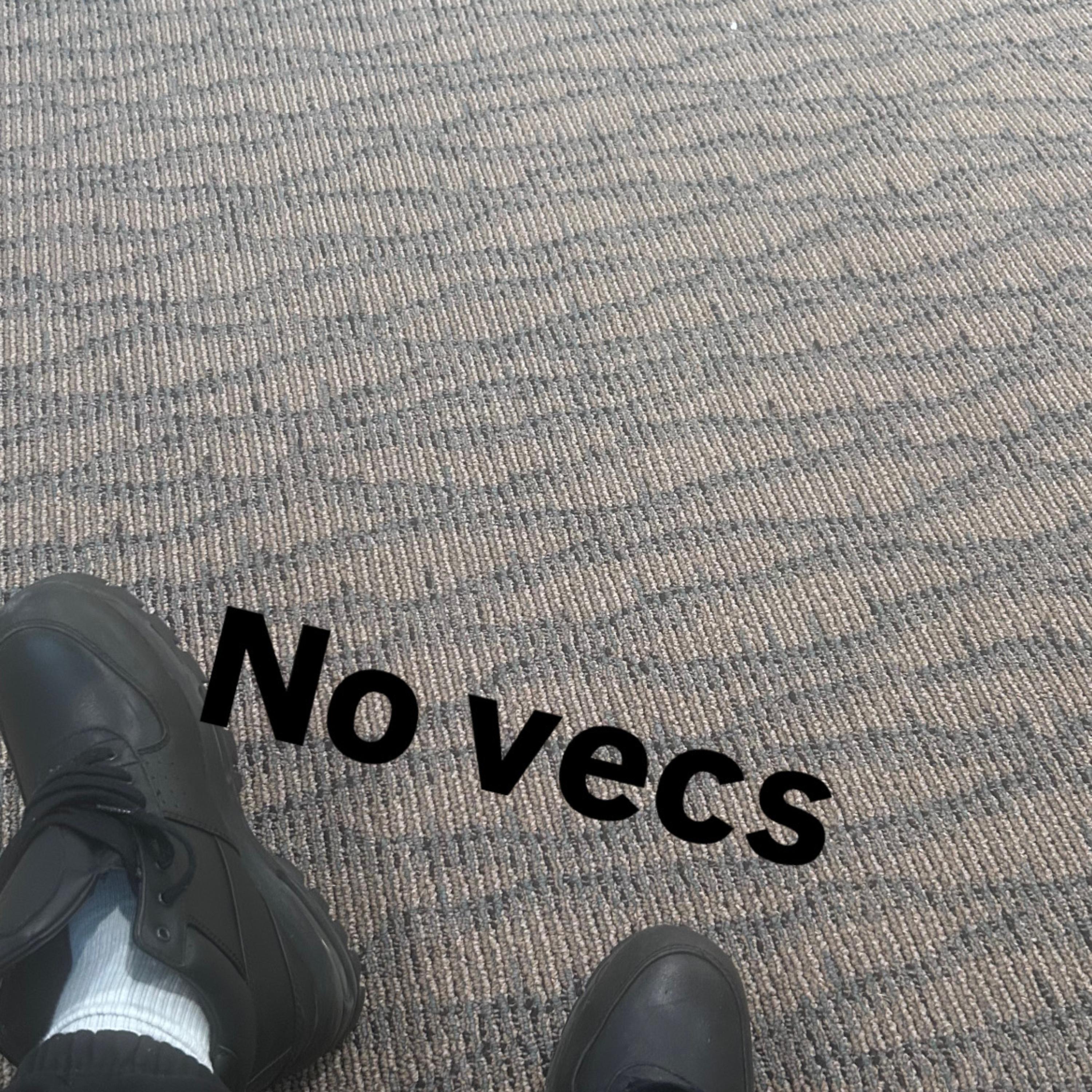 No Vecs artwork