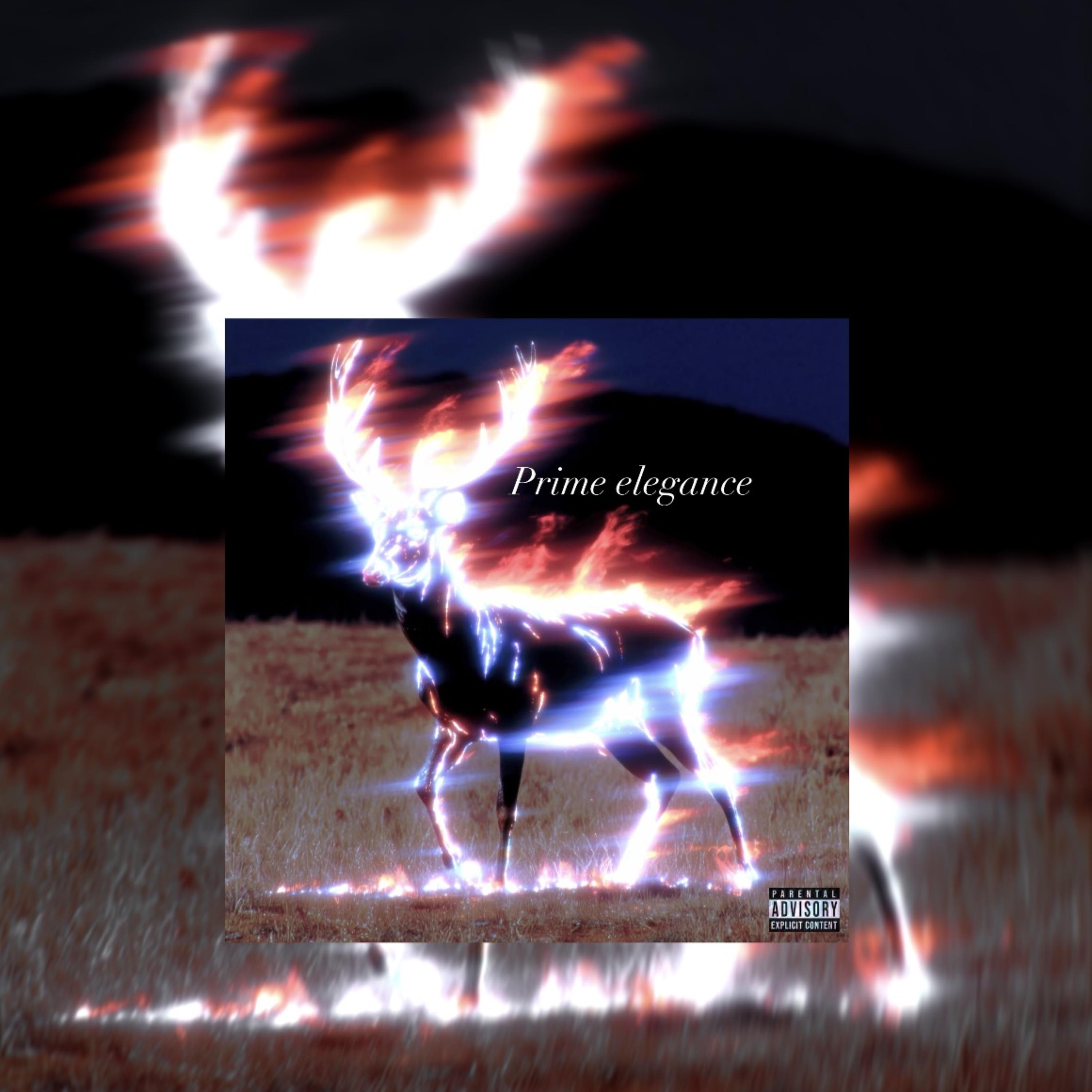 Prime Elegance artwork
