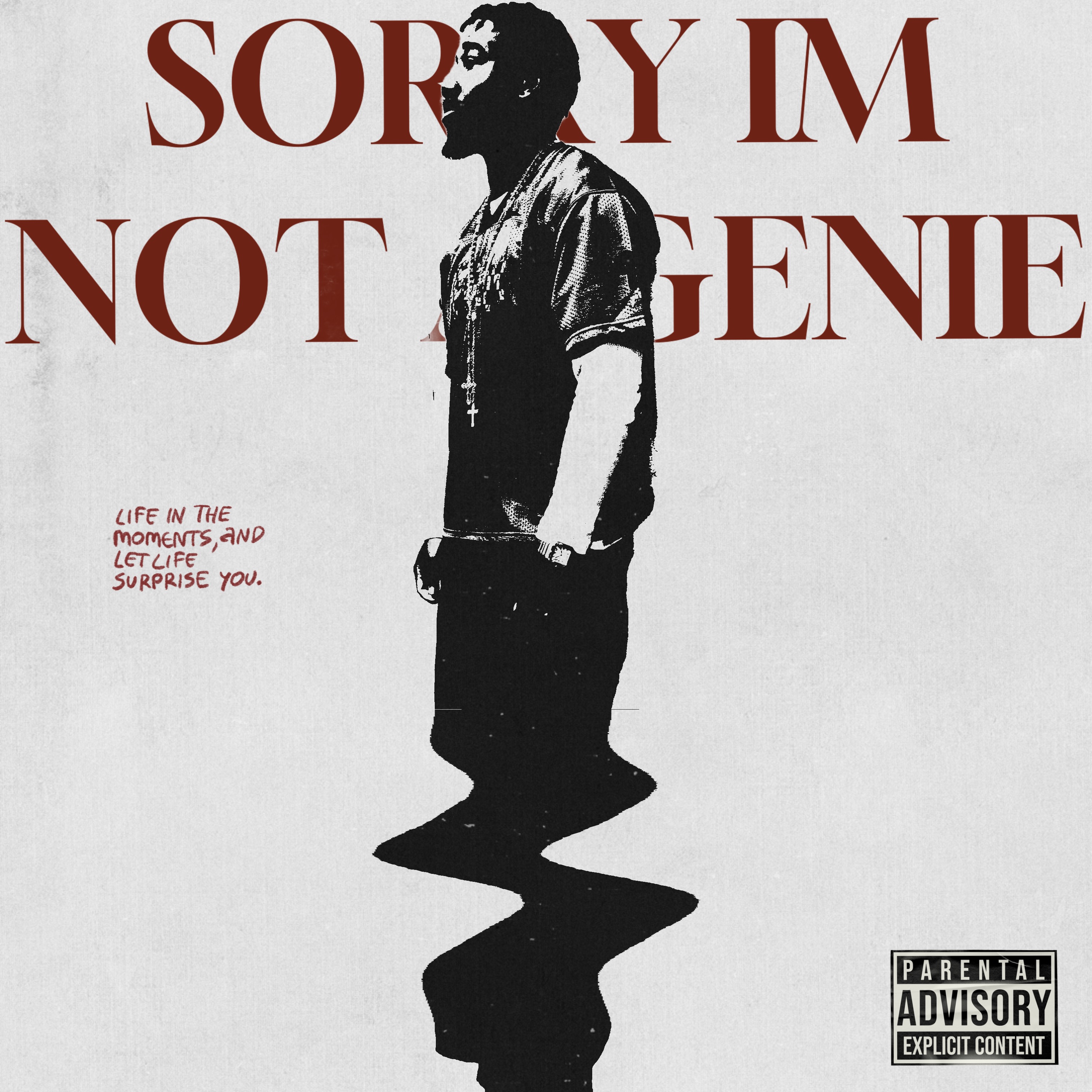 Sorry I’m Not A Genie artwork