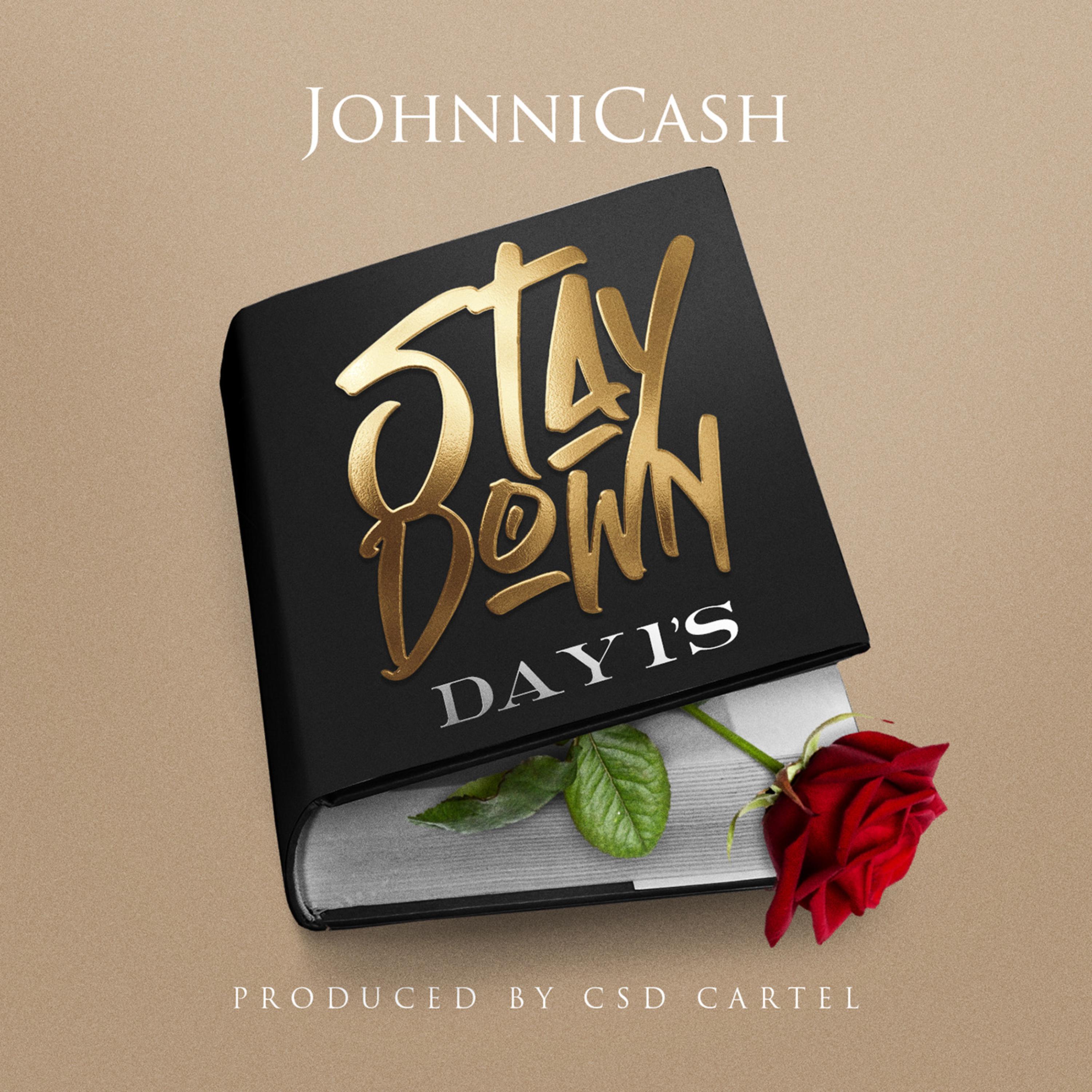 Stay Down (Day 1’s) artwork