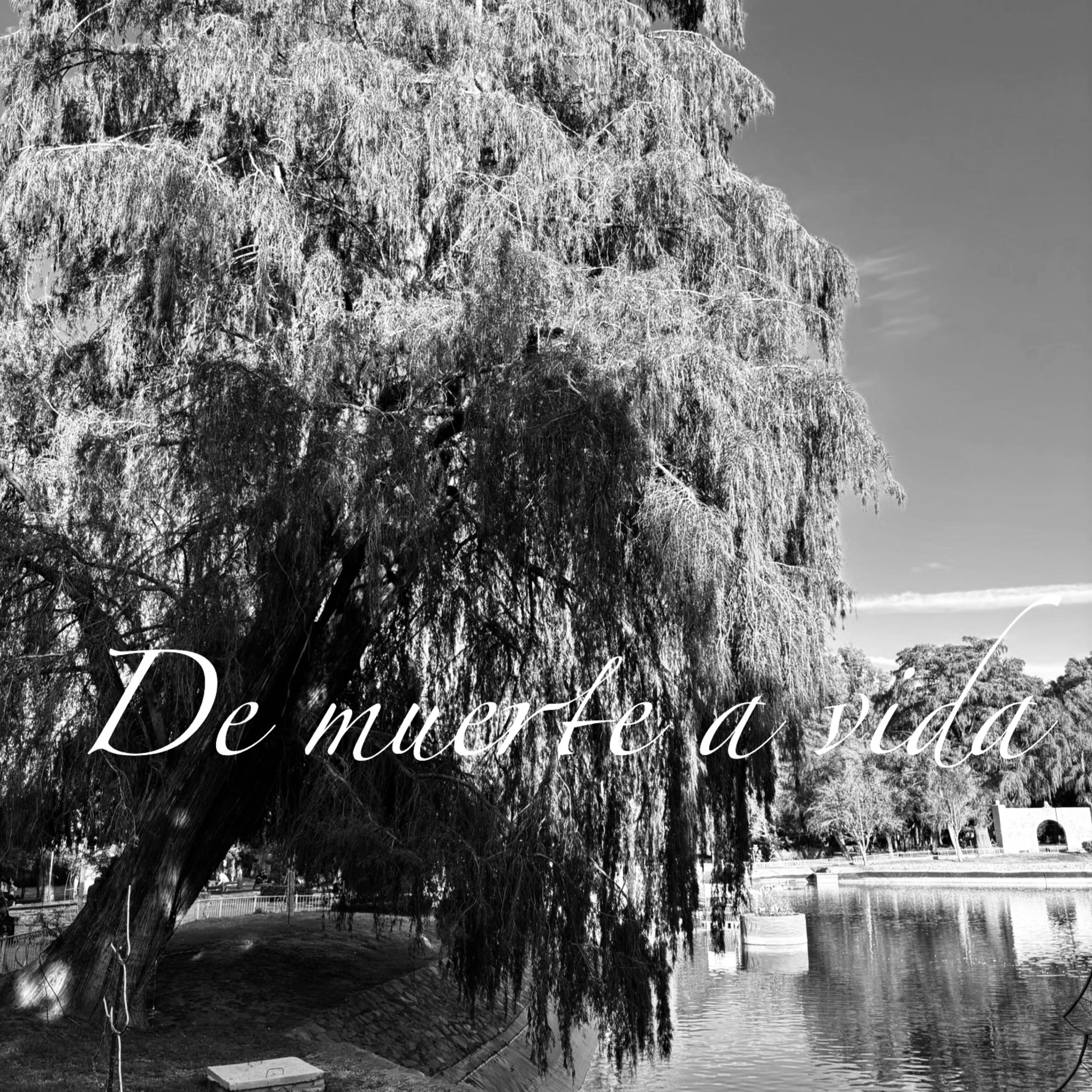 De Muerte A Vida artwork