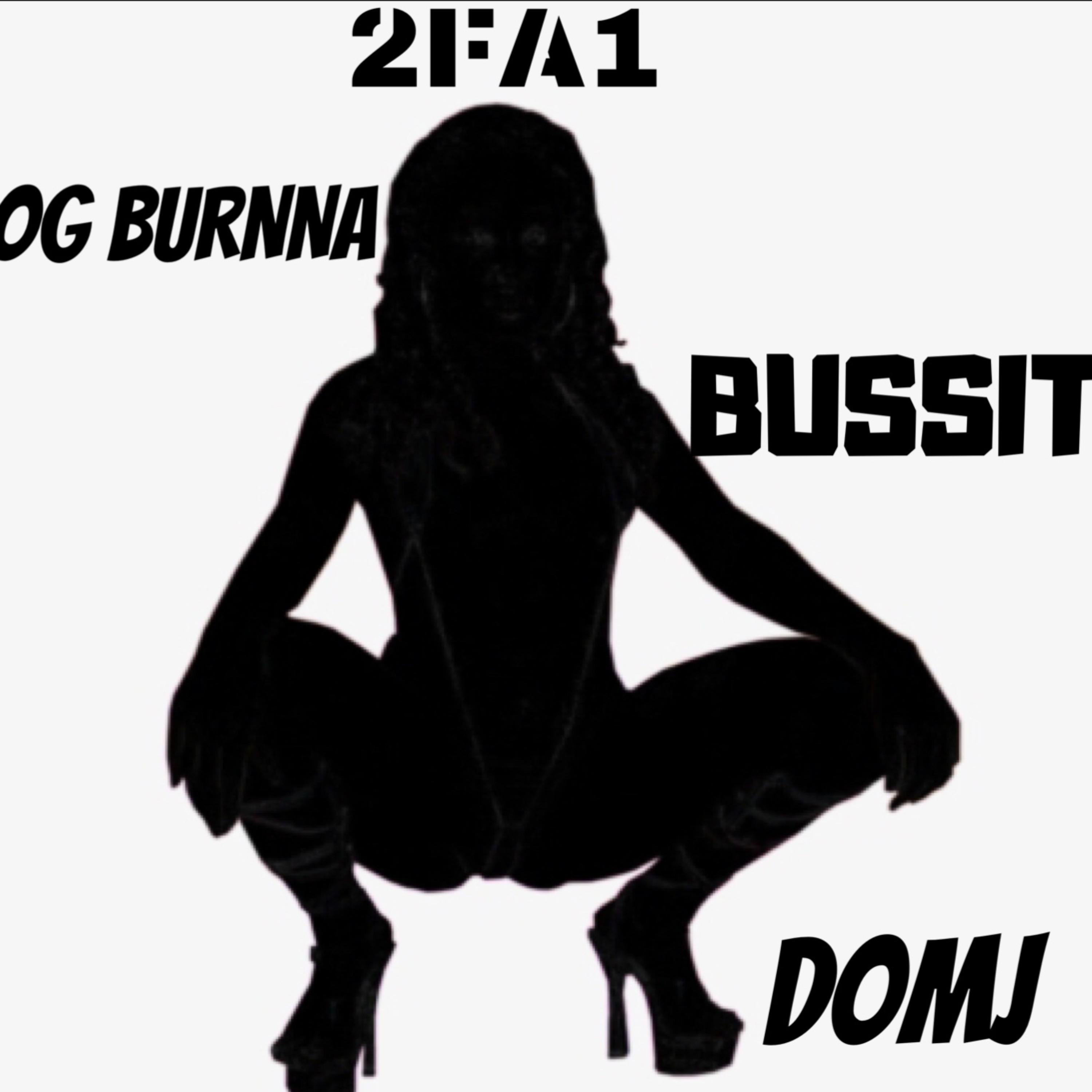 Bussit artwork