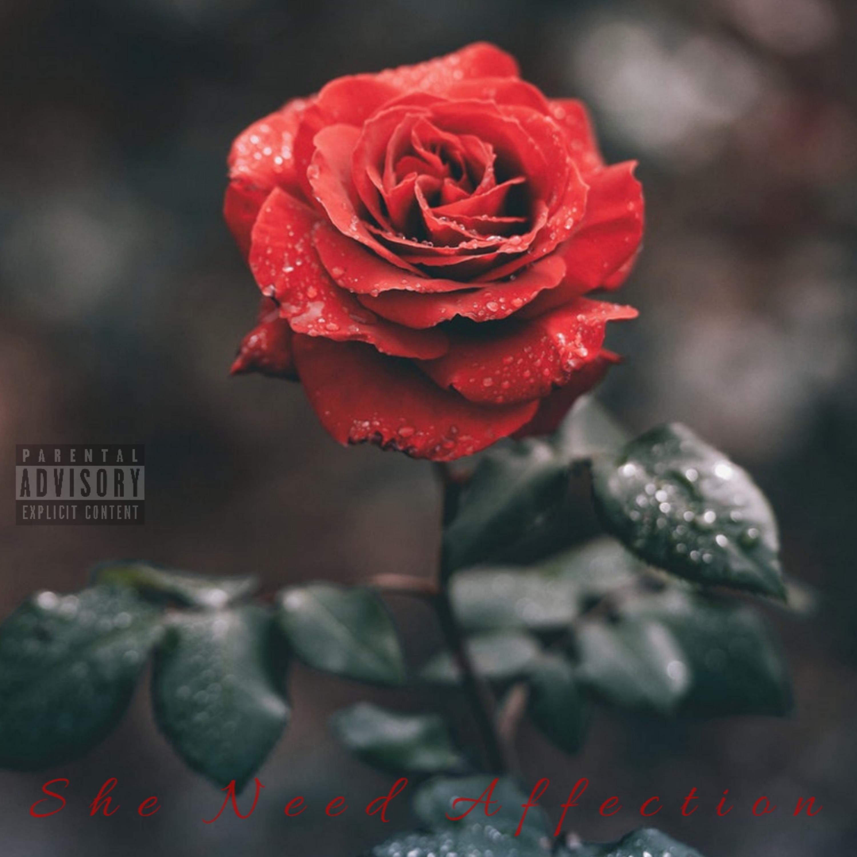 She Need Affection artwork