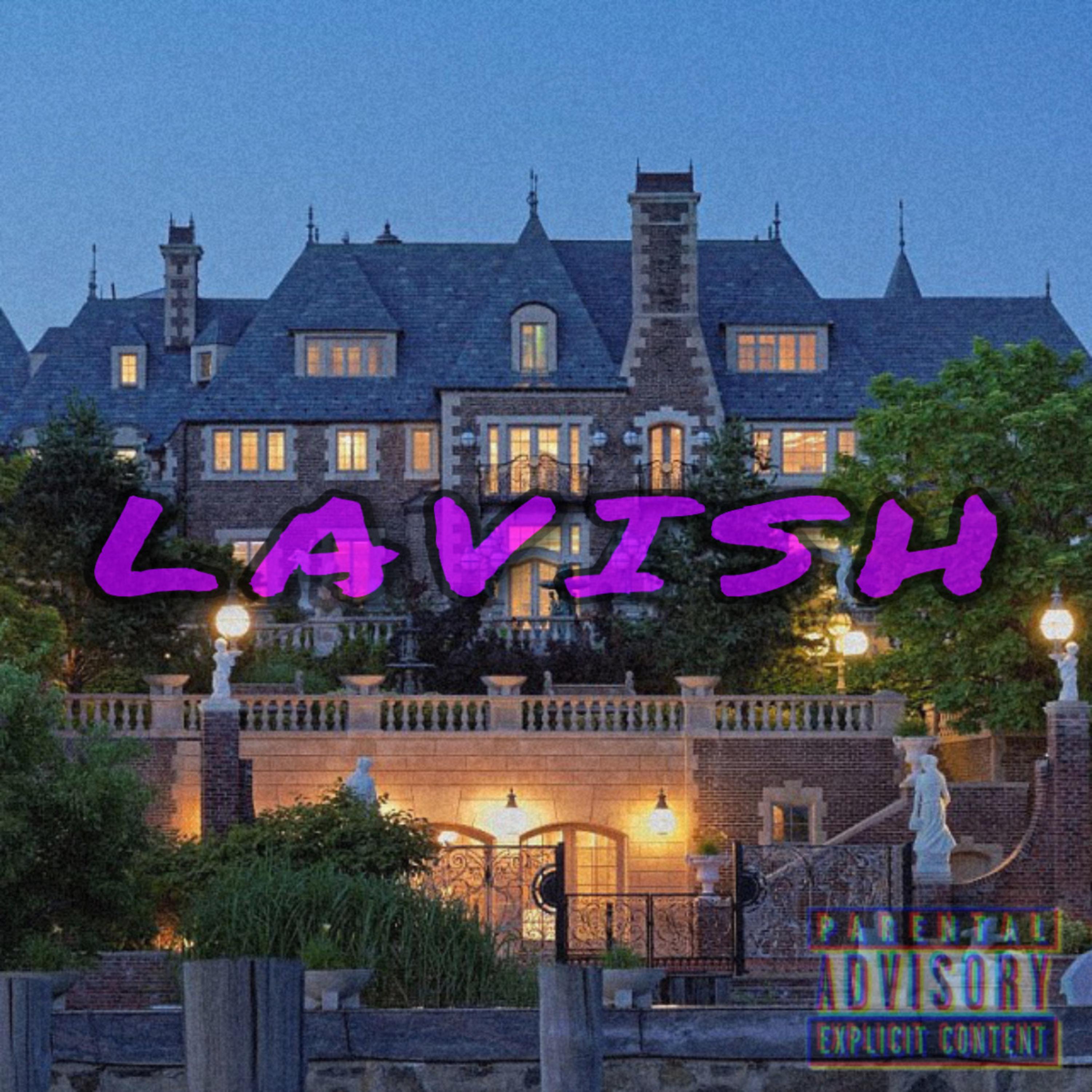 Lavish artwork