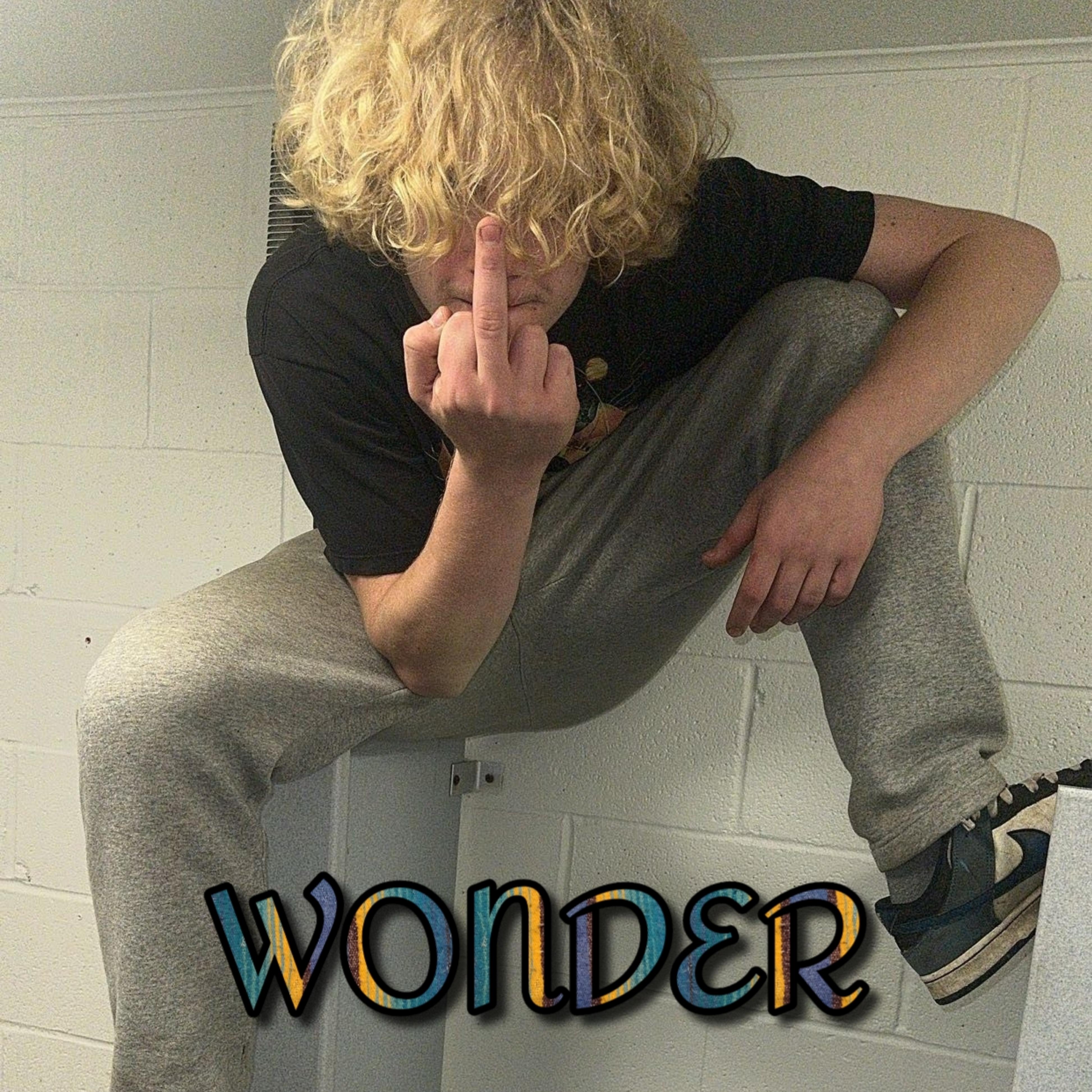 WONDER artwork