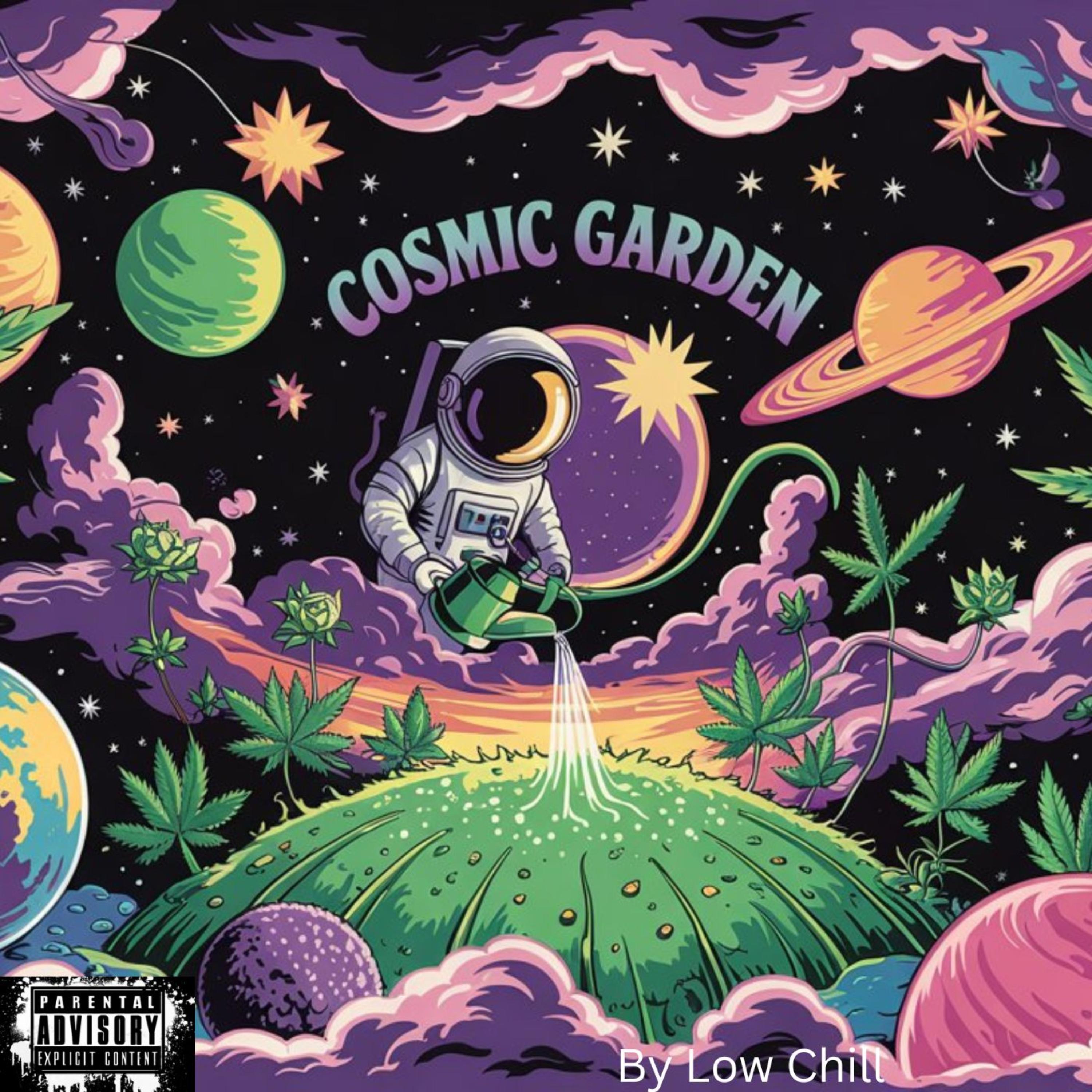 Cosmic Garden artwork
