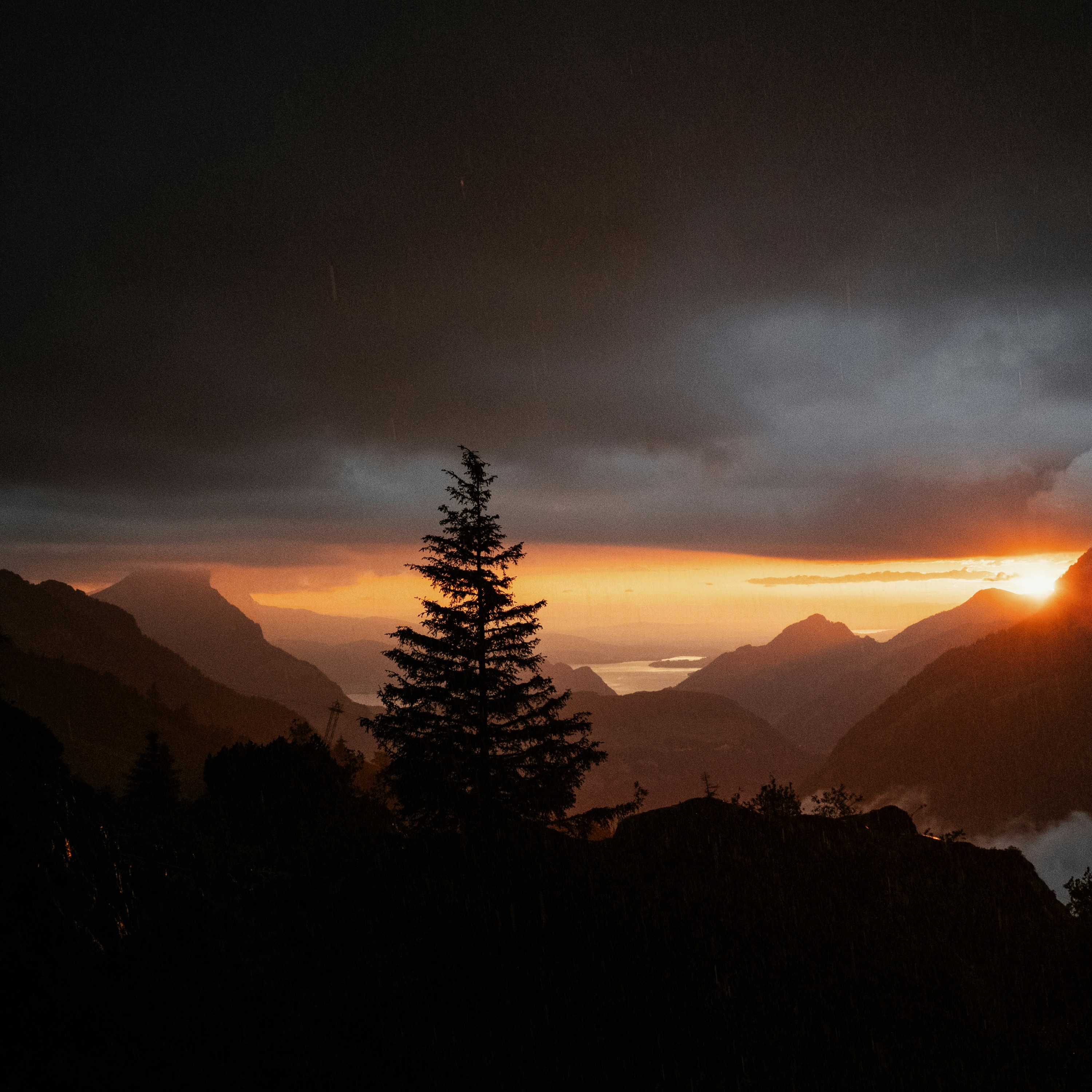 Tor Monitor Ketua 2 artwork