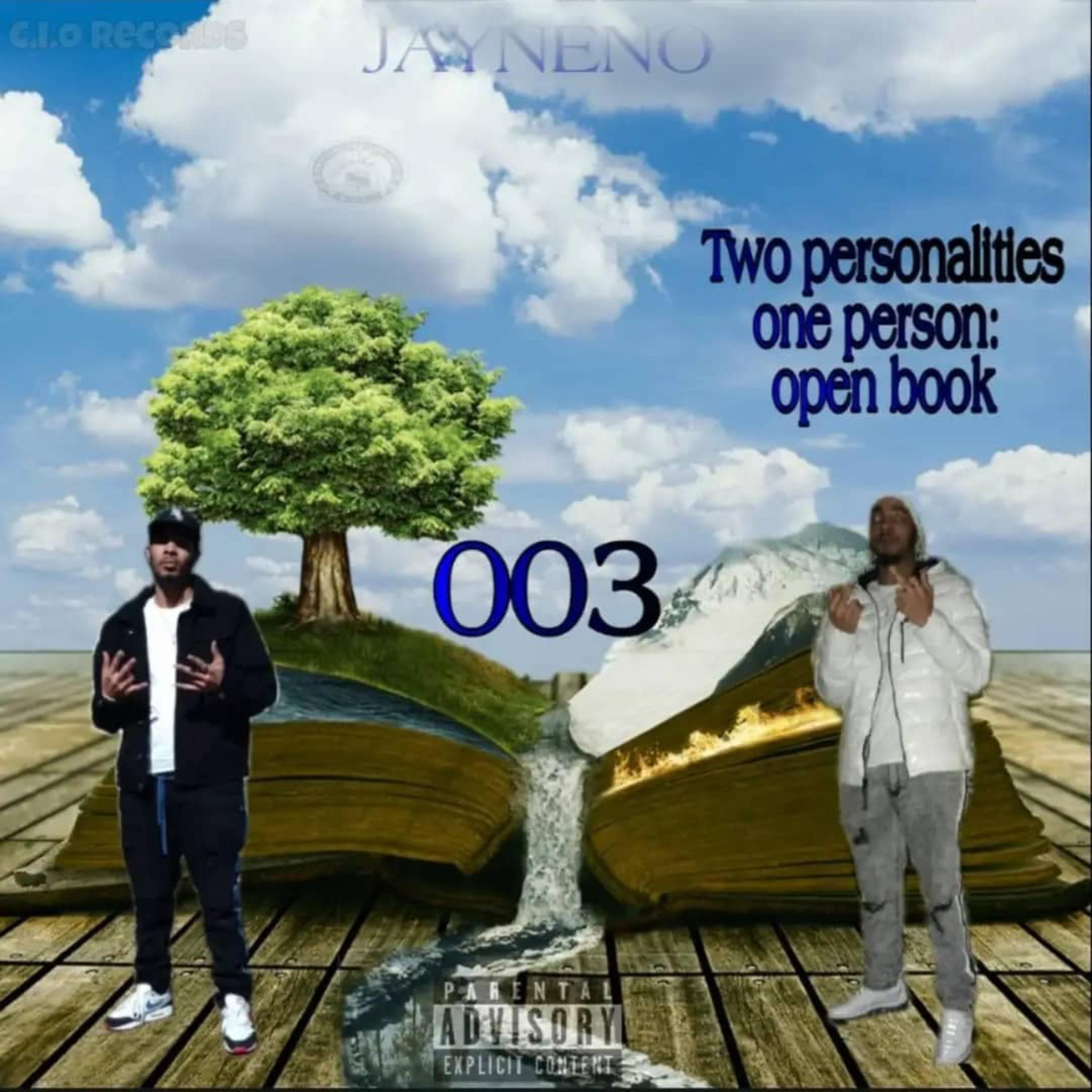 Two Personalities One Person: Open Book by Jayneno cover art