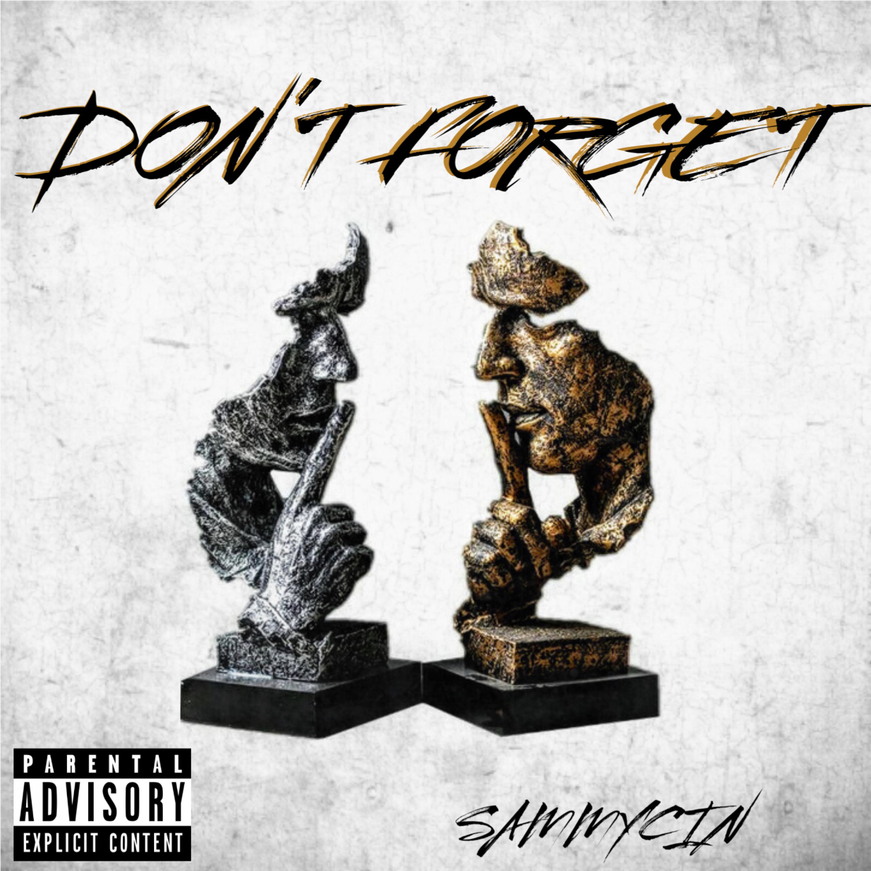 Don't Forget artwork