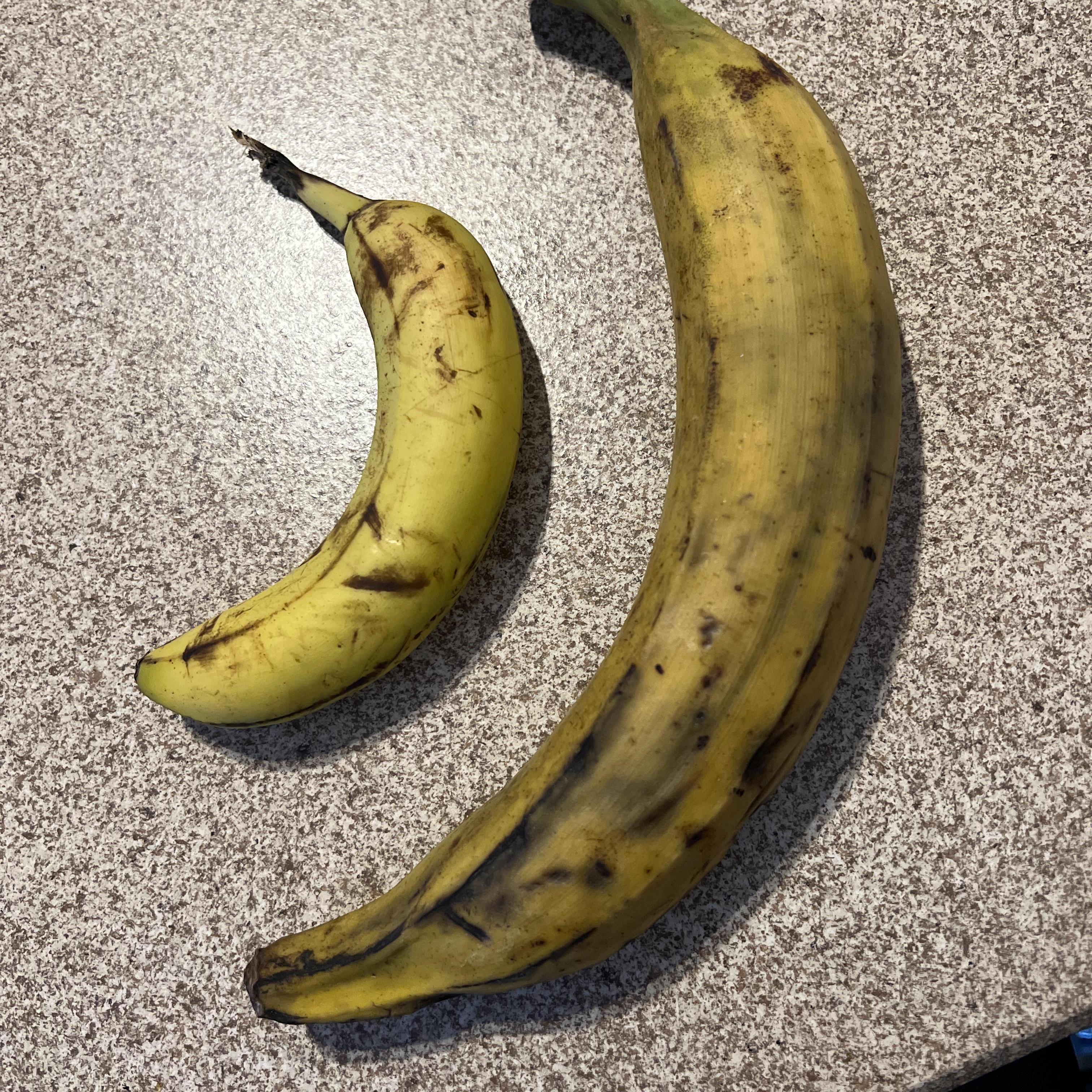 Plantain Main (Side Dude Edition) artwork