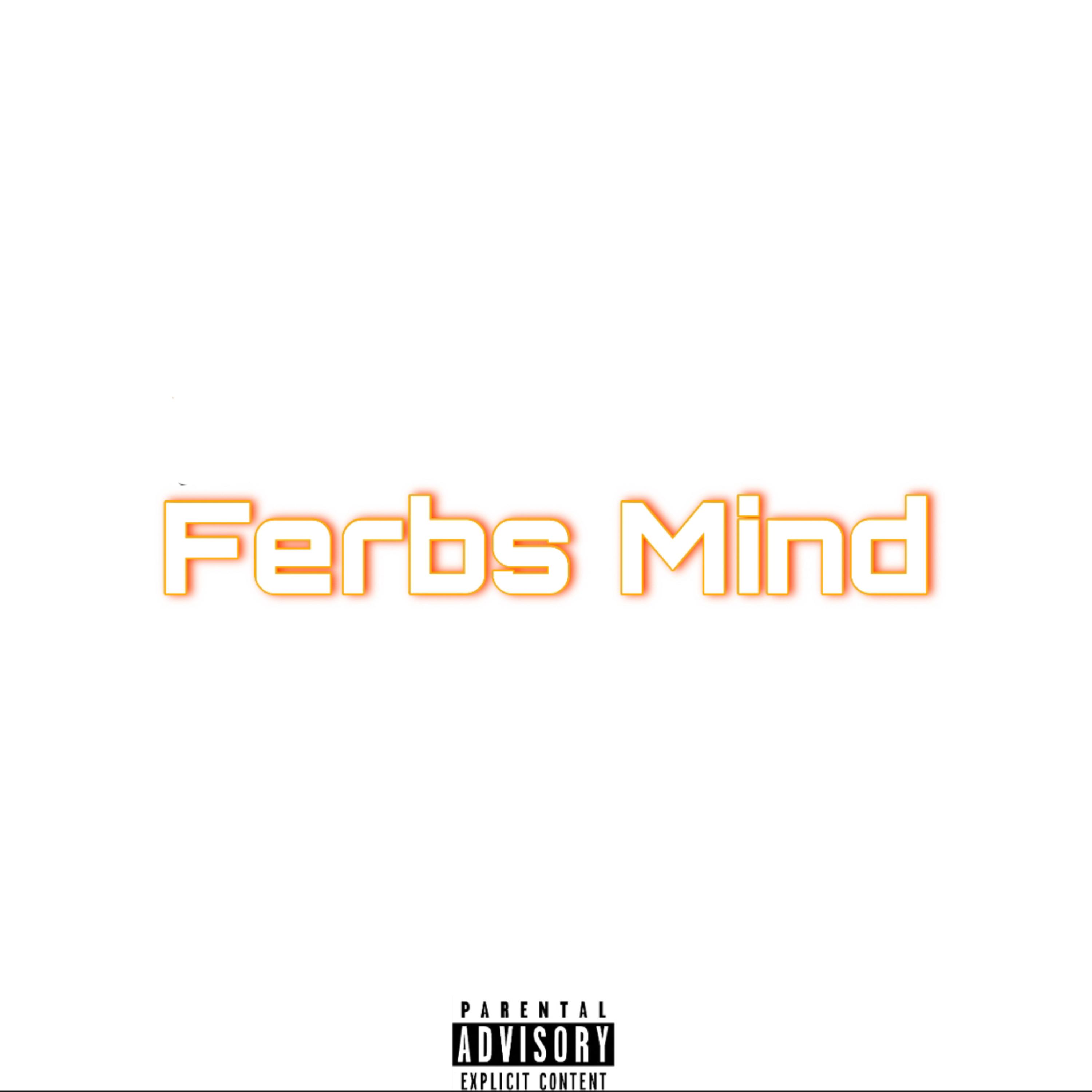 Ferbs Mind artwork