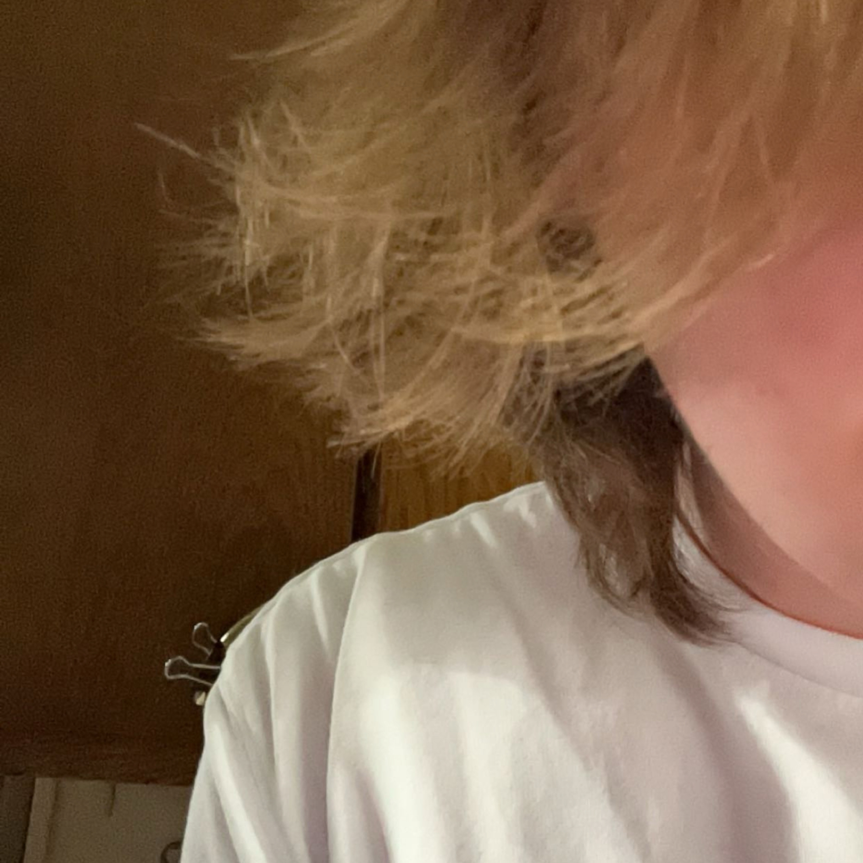 Floccinaucinihilipilification 7" artwork