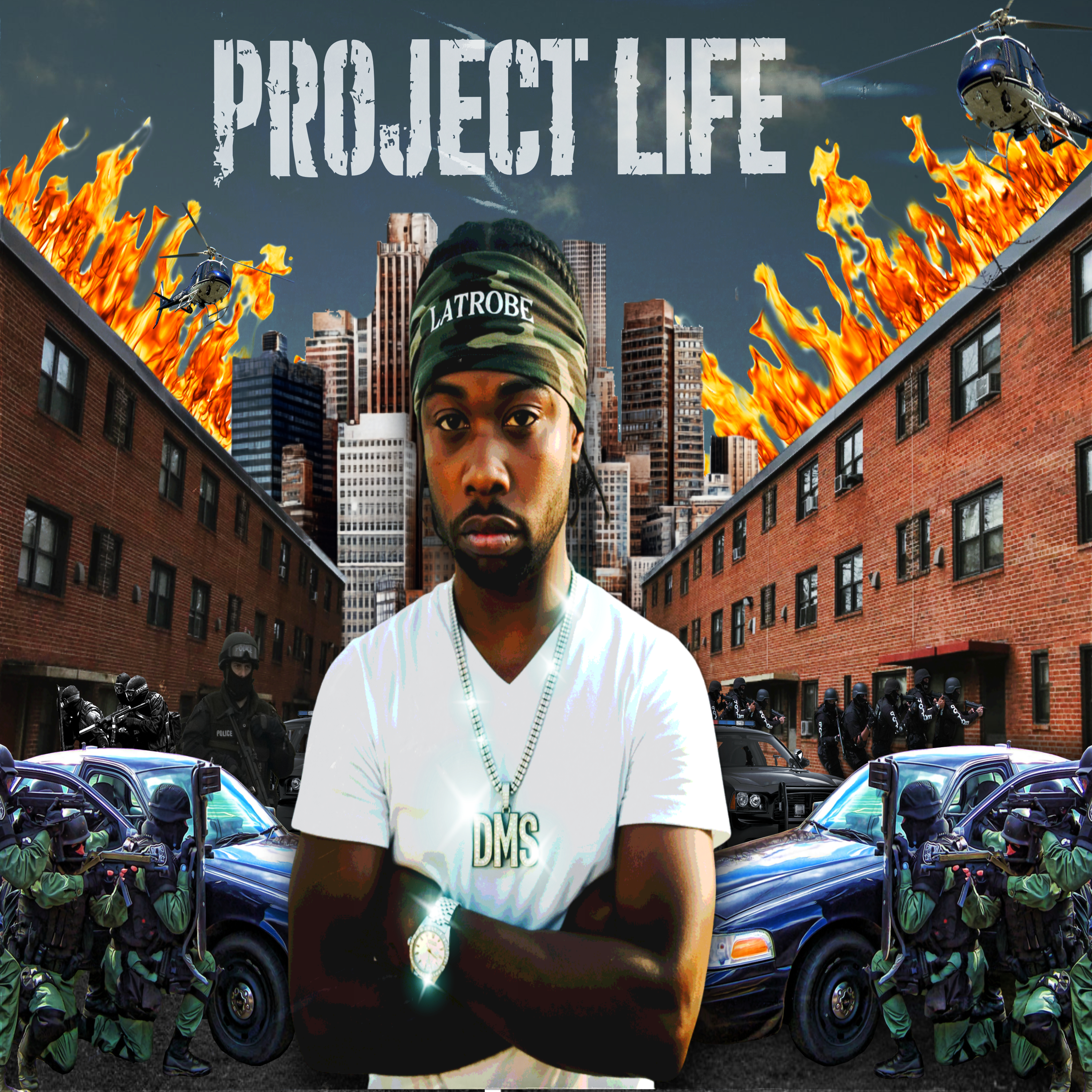 Project Life artwork