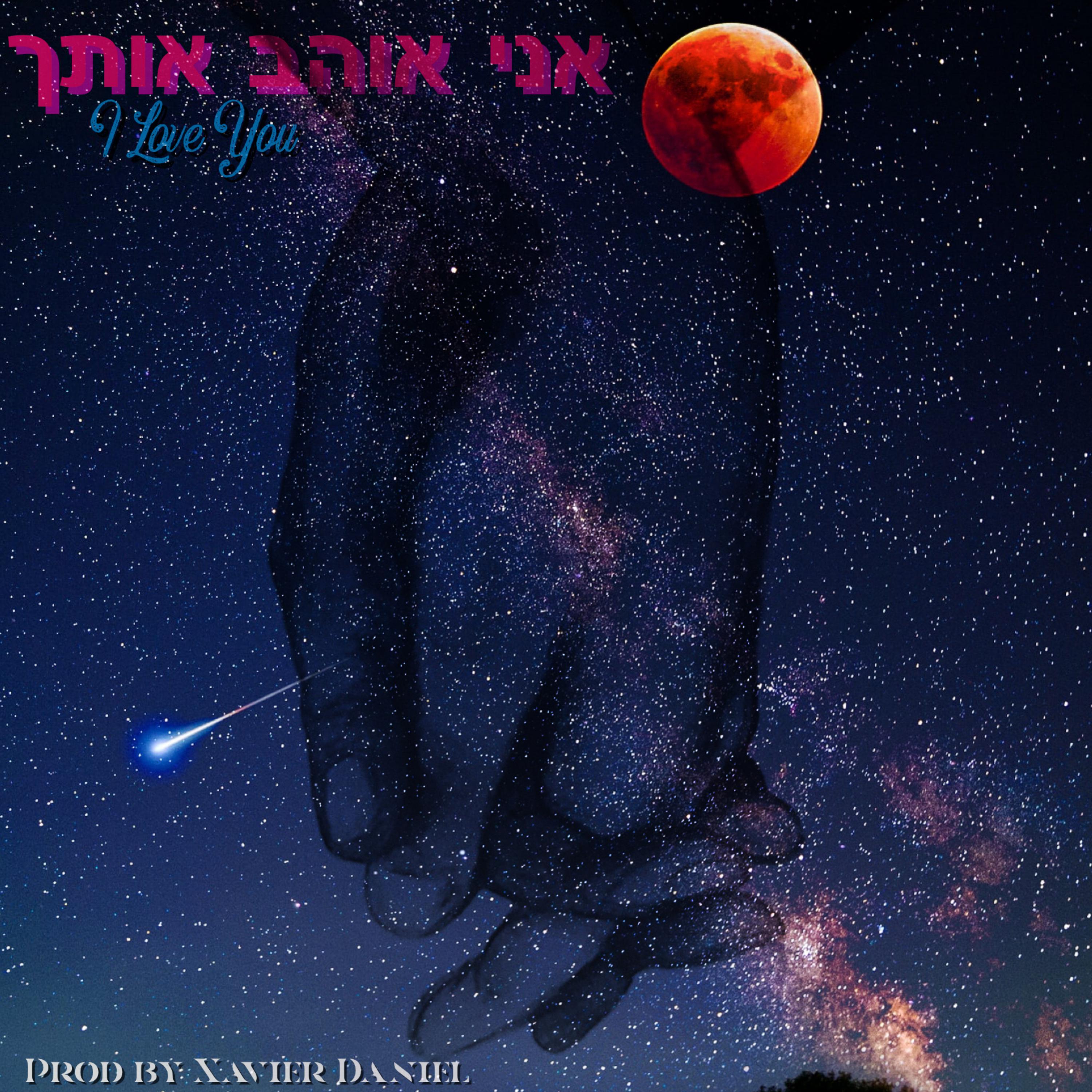 אני אוהב אותך (I Love You) artwork