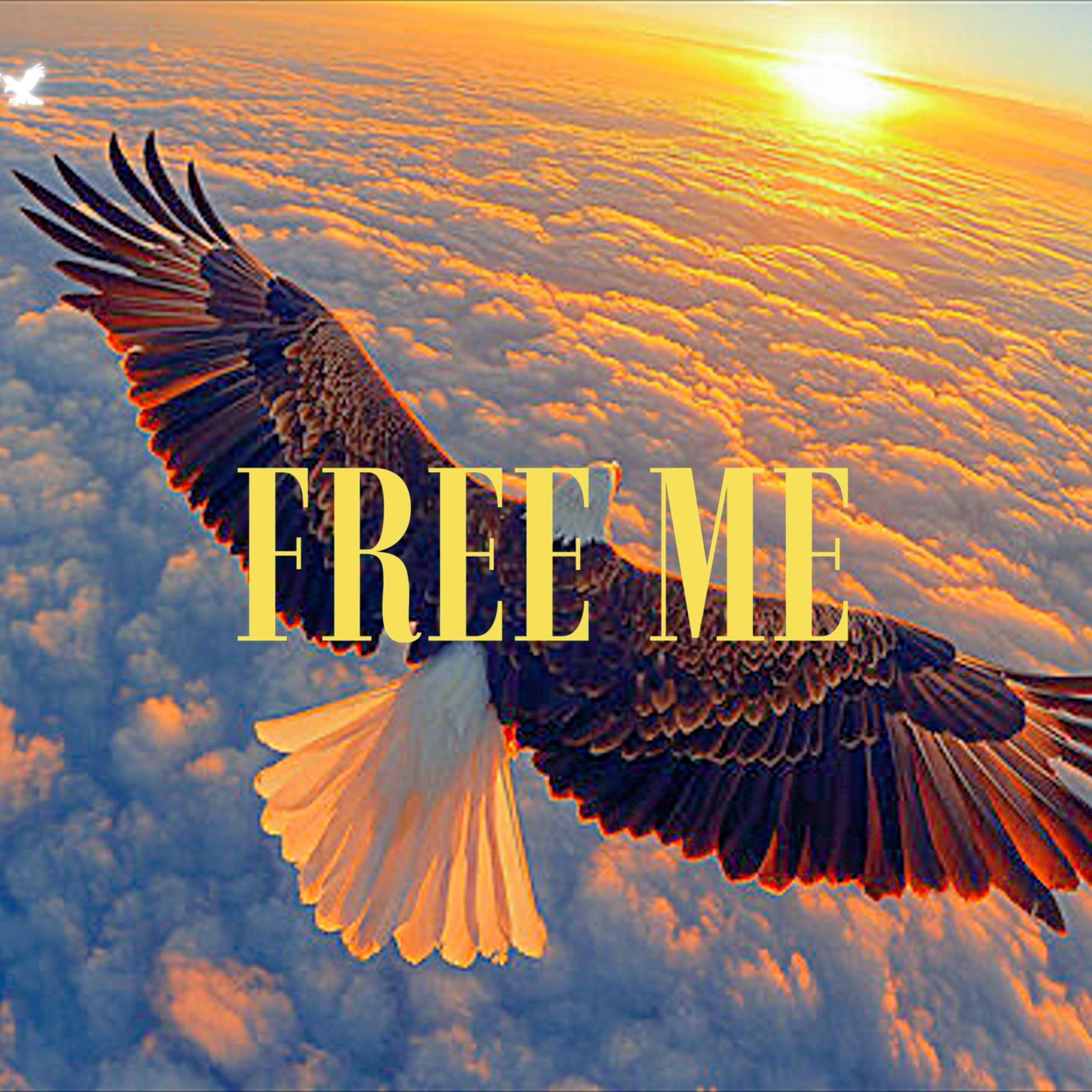 FREE ME artwork