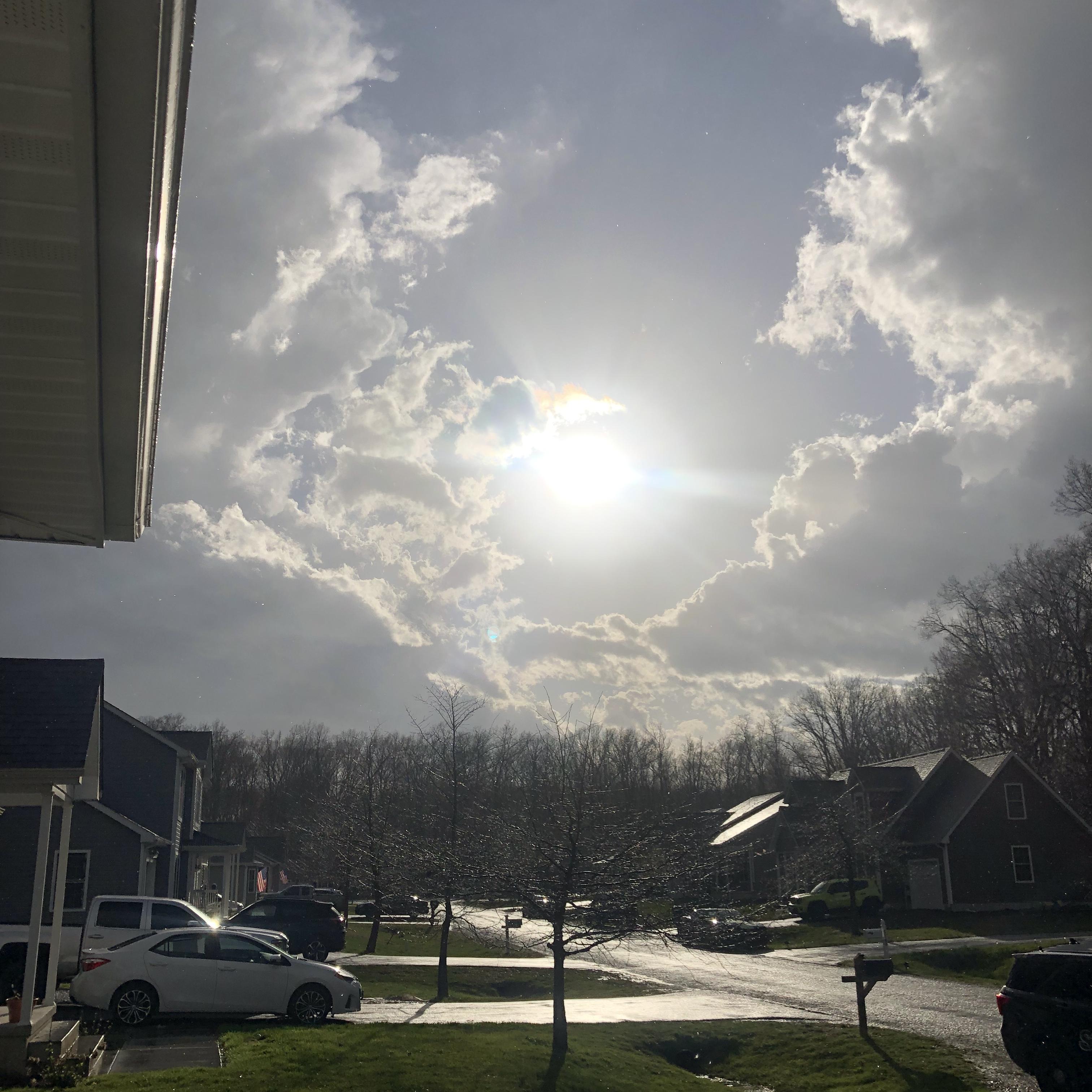 Sunny Days artwork