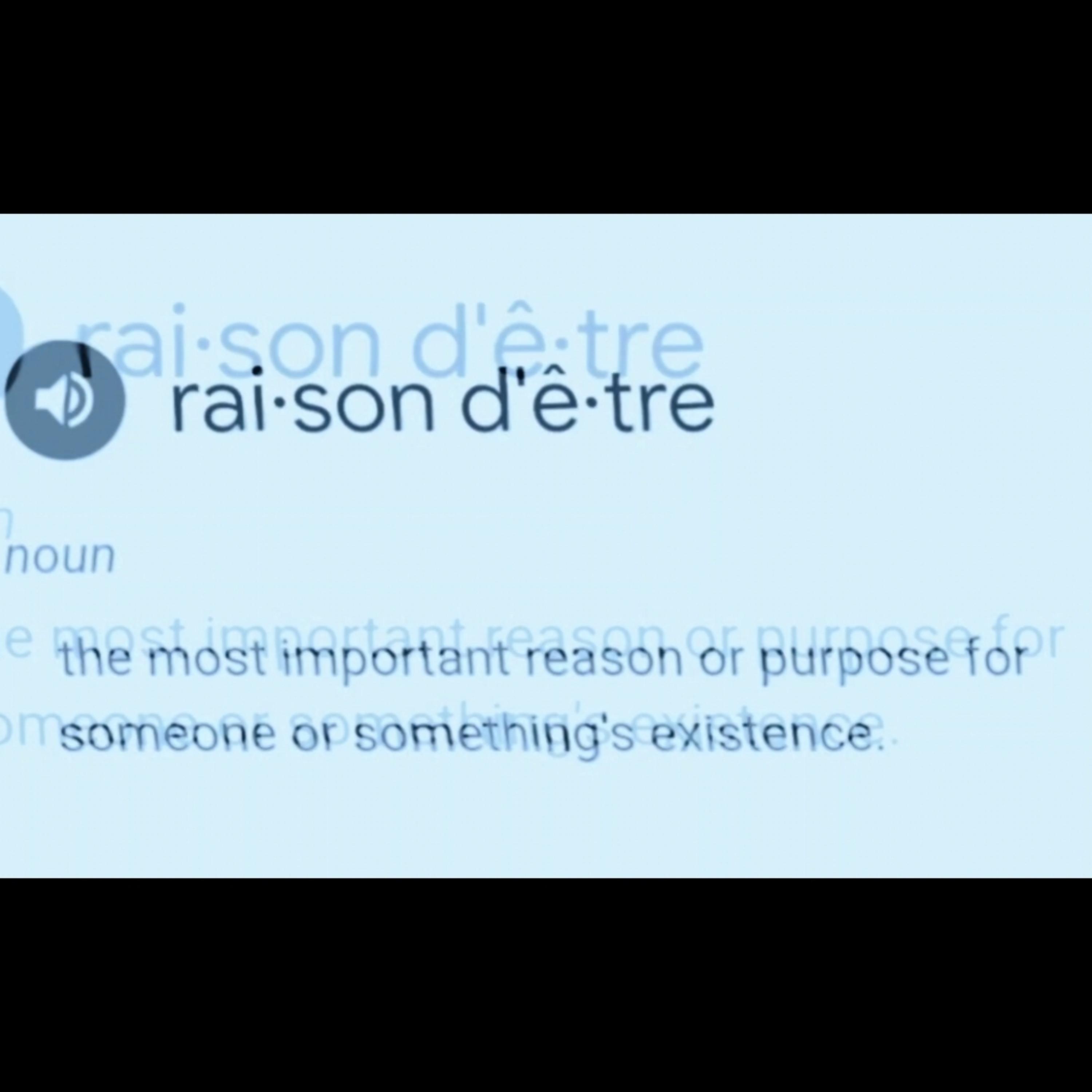 Raison D'etre artwork