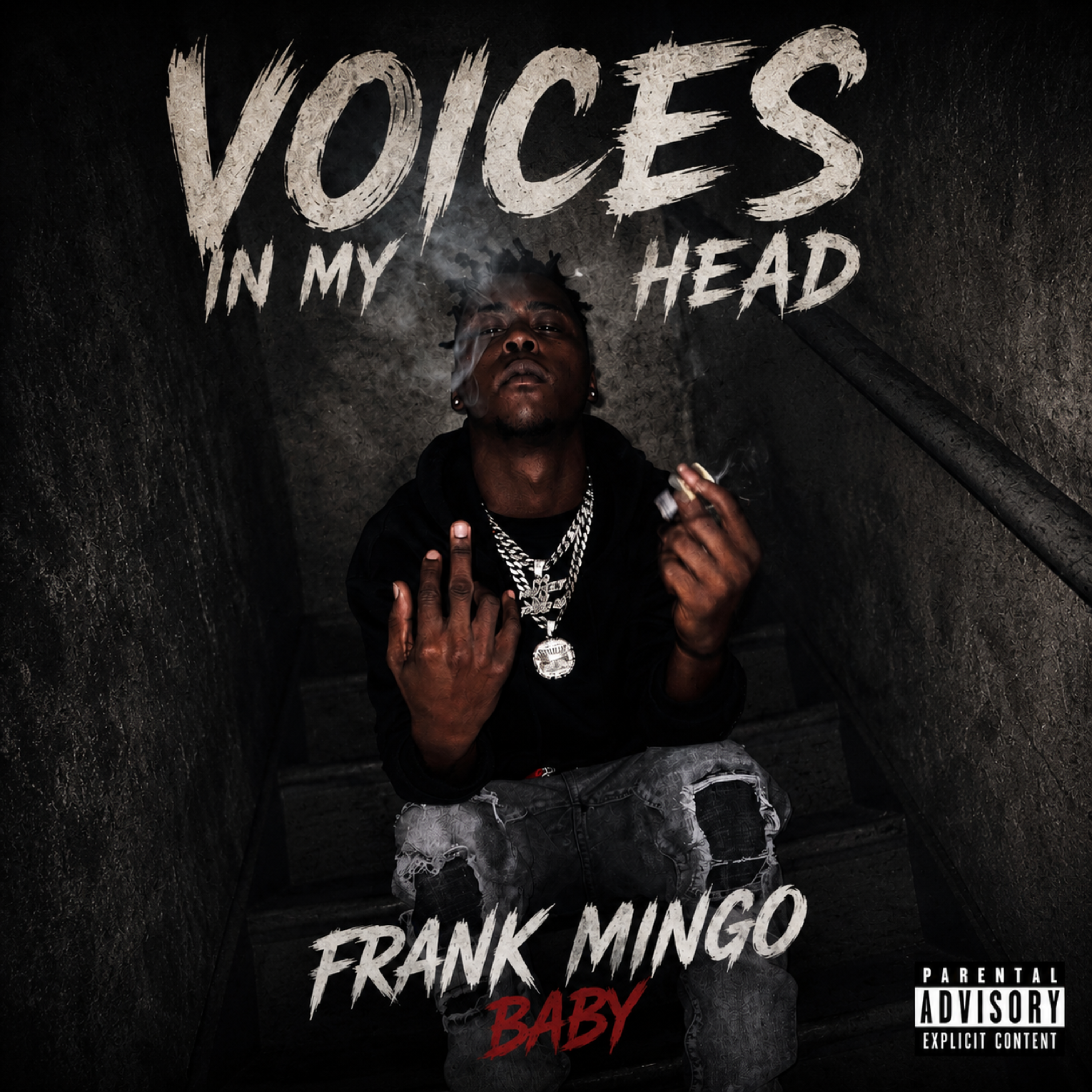 Voices In My Head by Frank Mingo Baby cover art