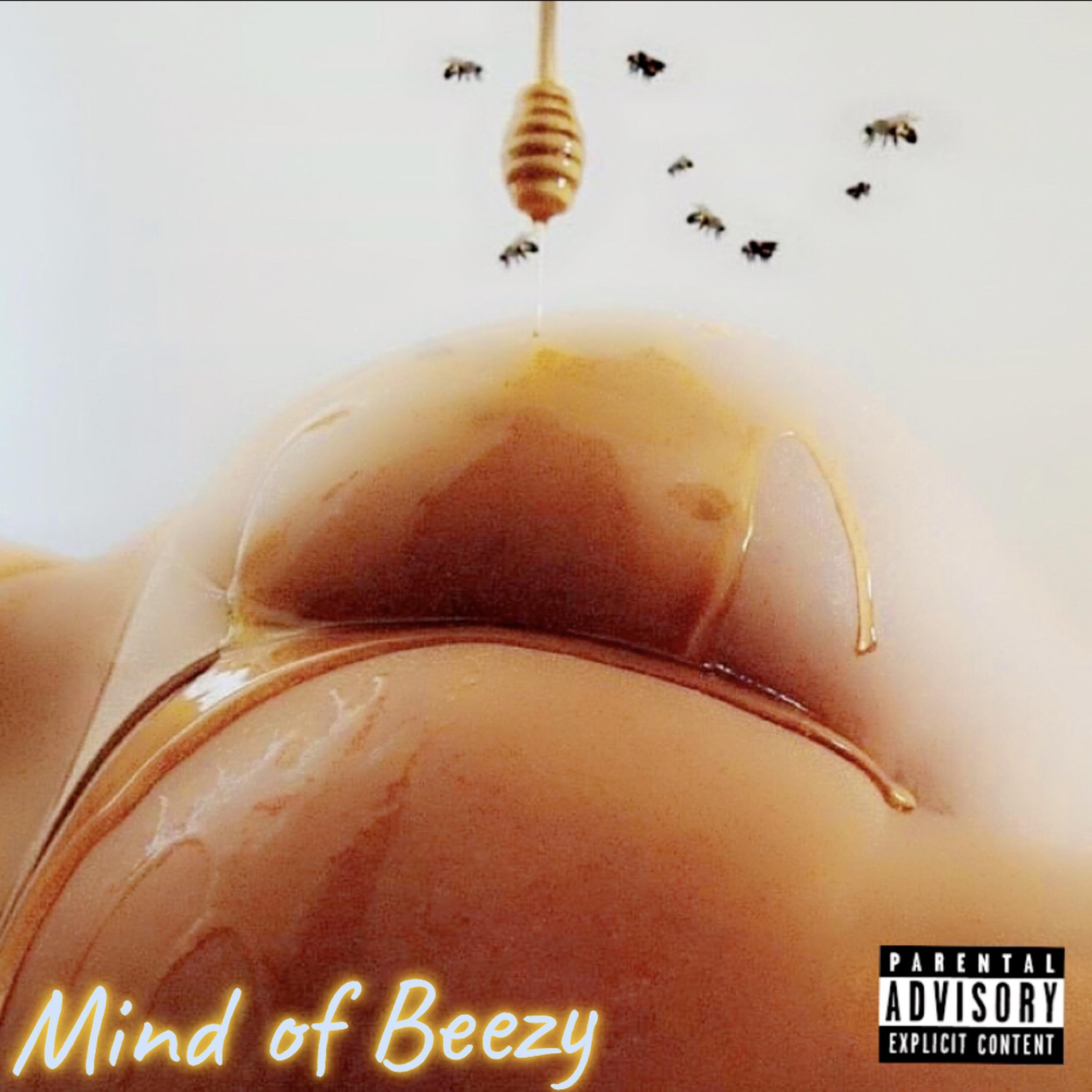 MindOfBeezy artwork