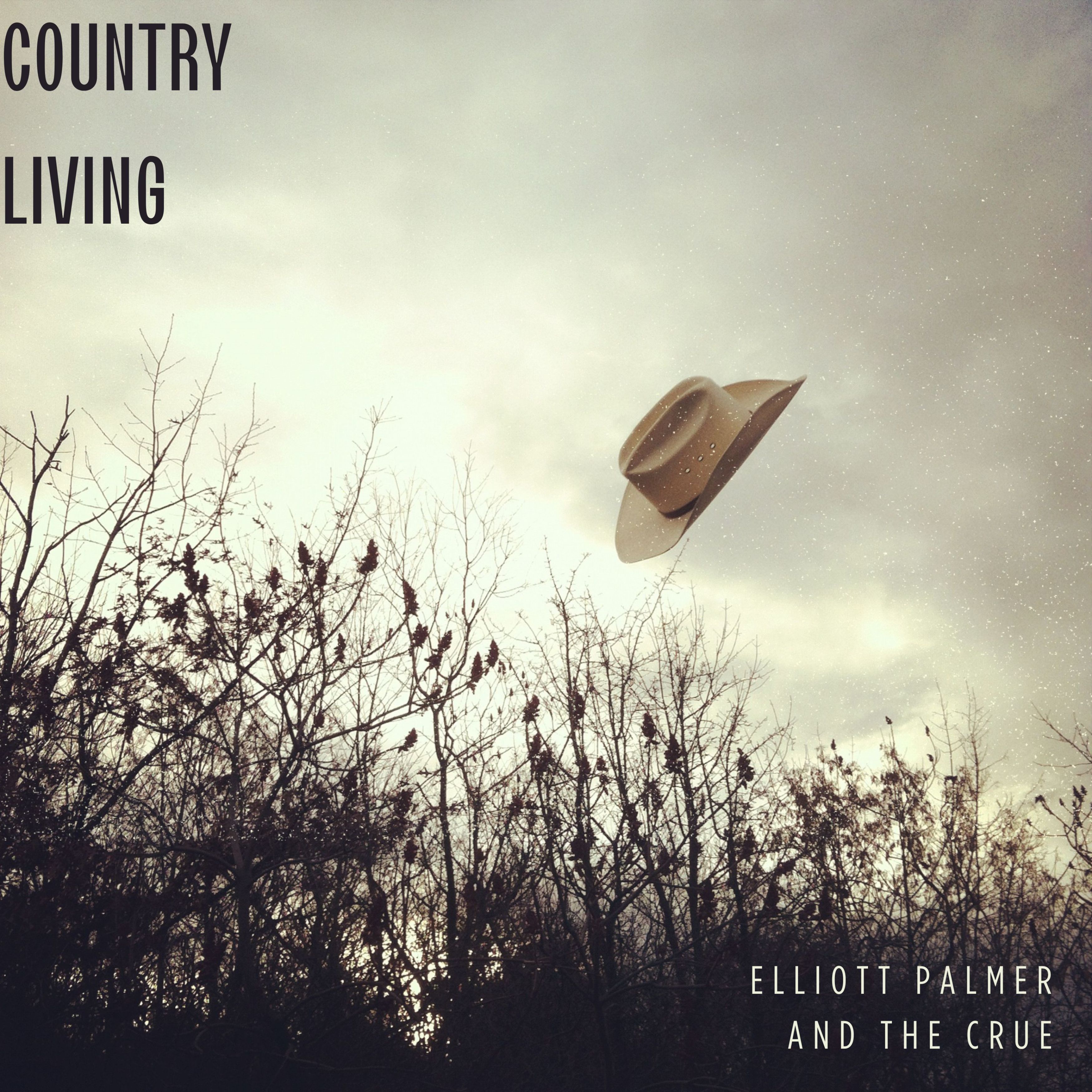 Country Living artwork