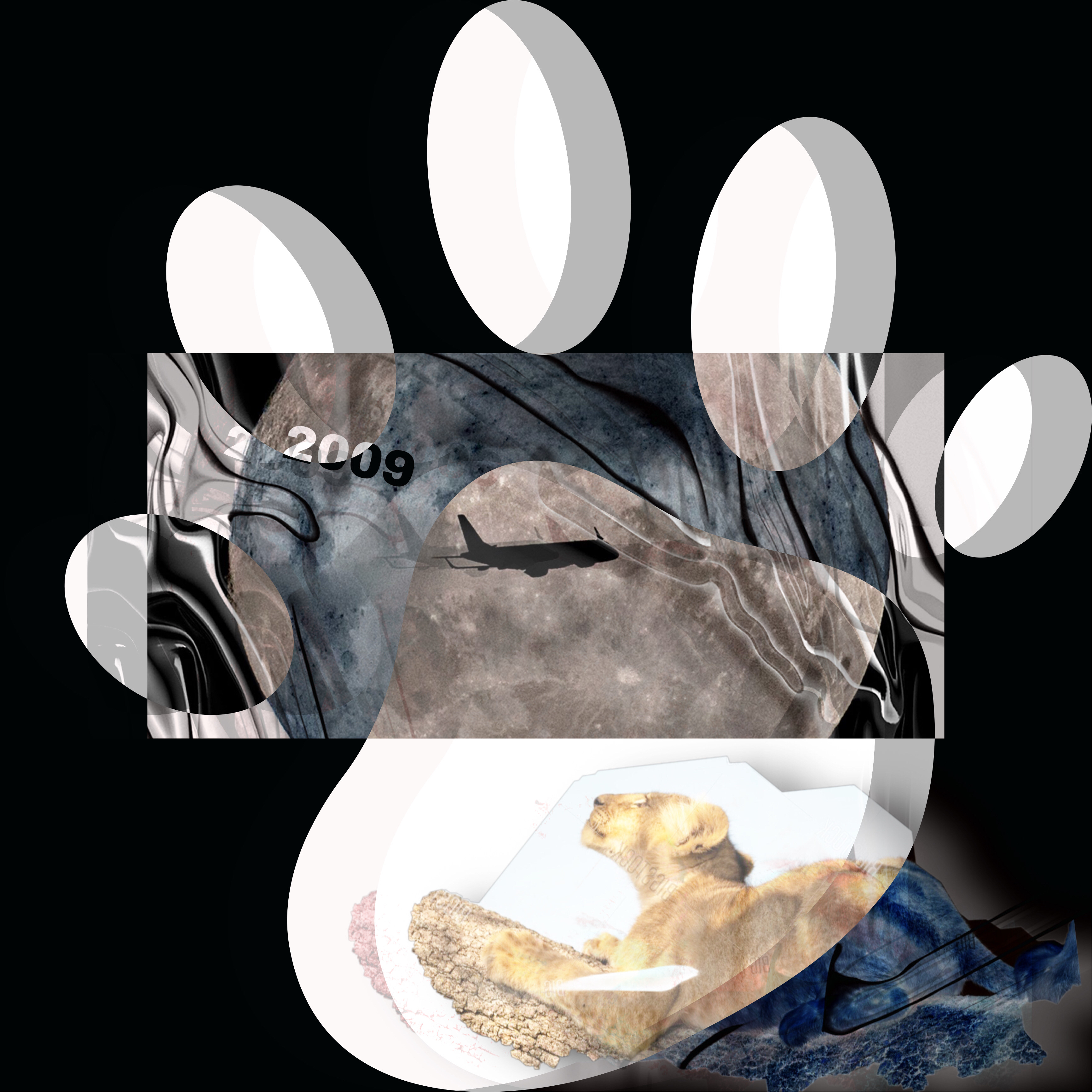 2009 artwork