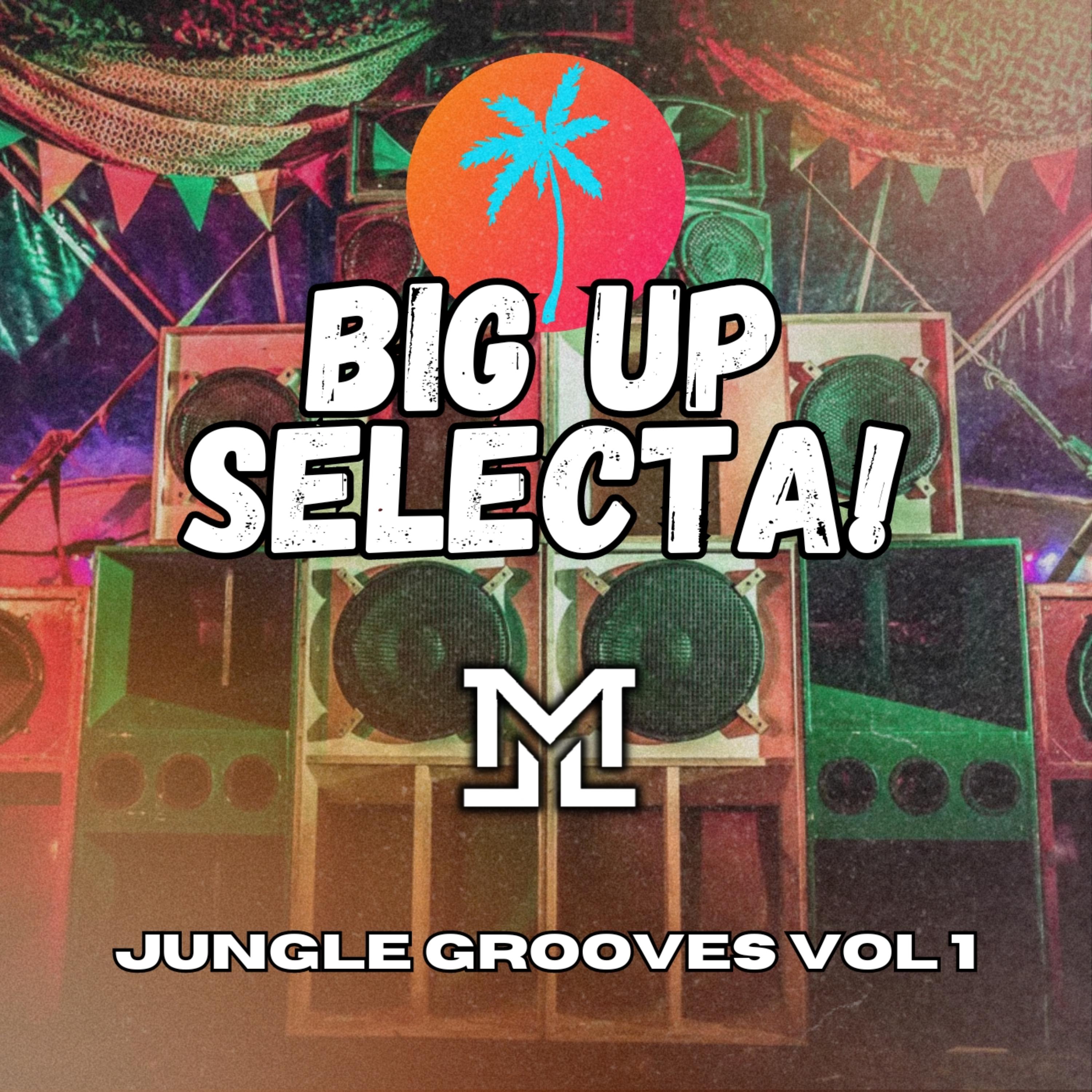 Big Up Selecta! Jungle Grooves Vol 1 artwork
