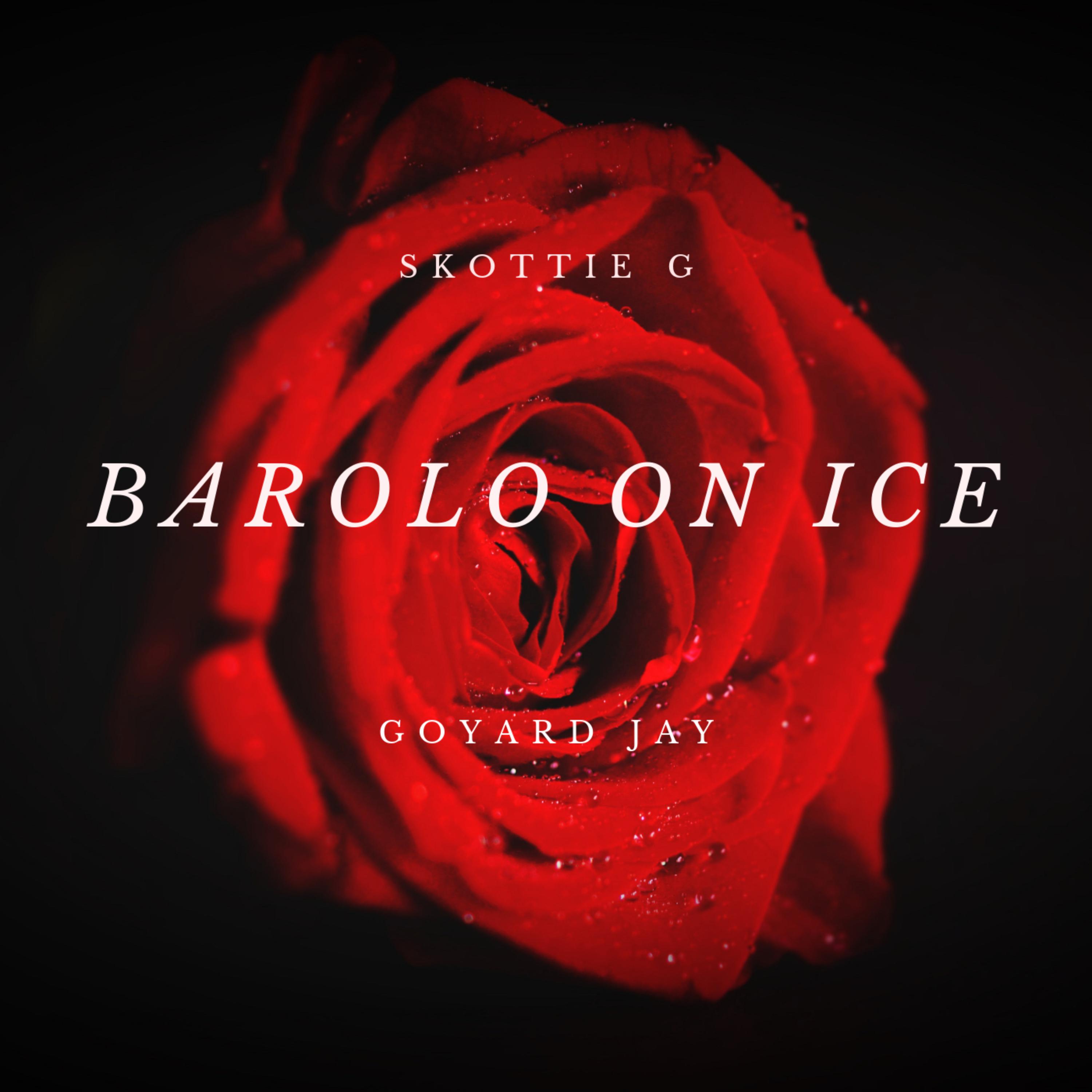 Barolo On Ice artwork
